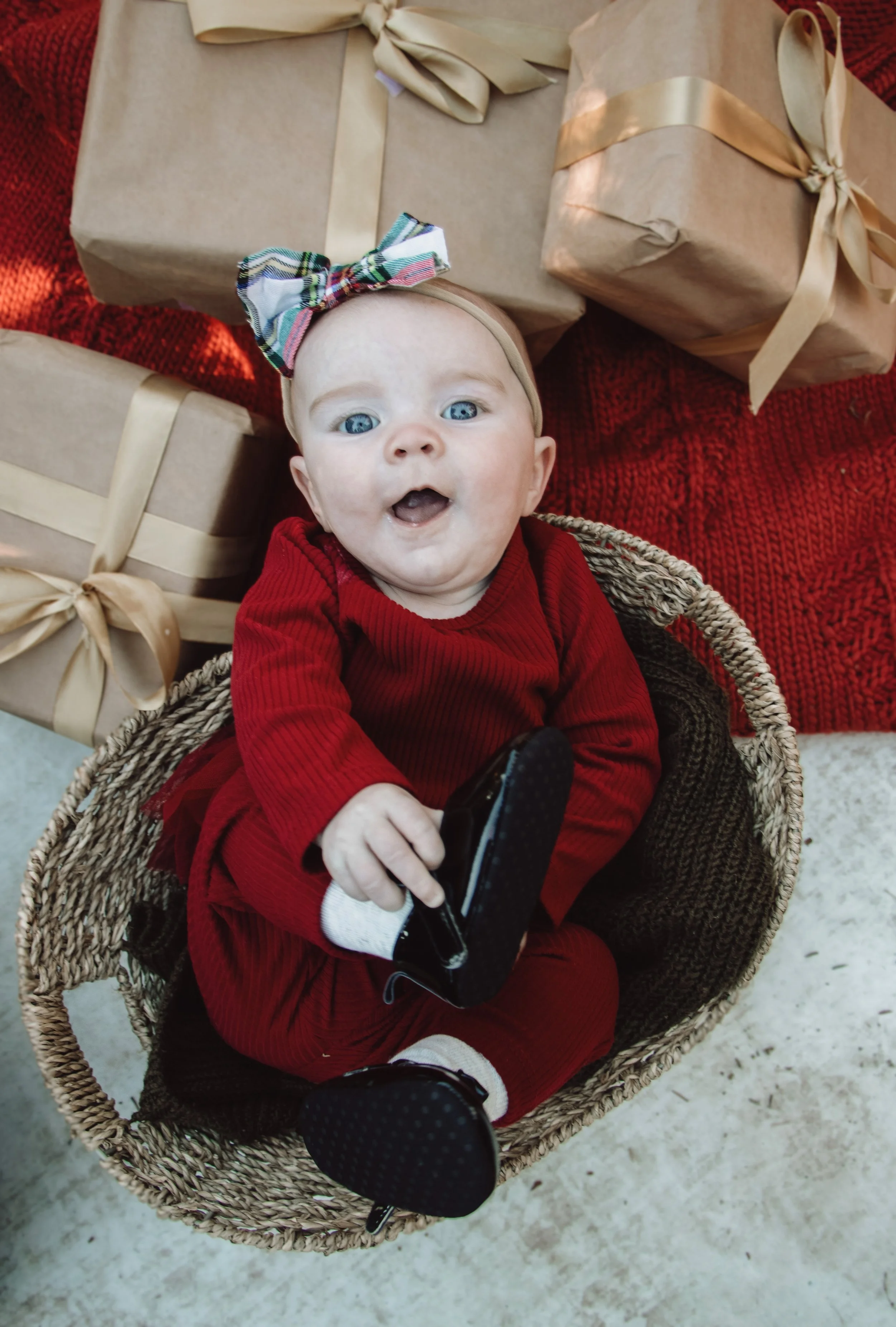 Whittacker Family Holiday Mini