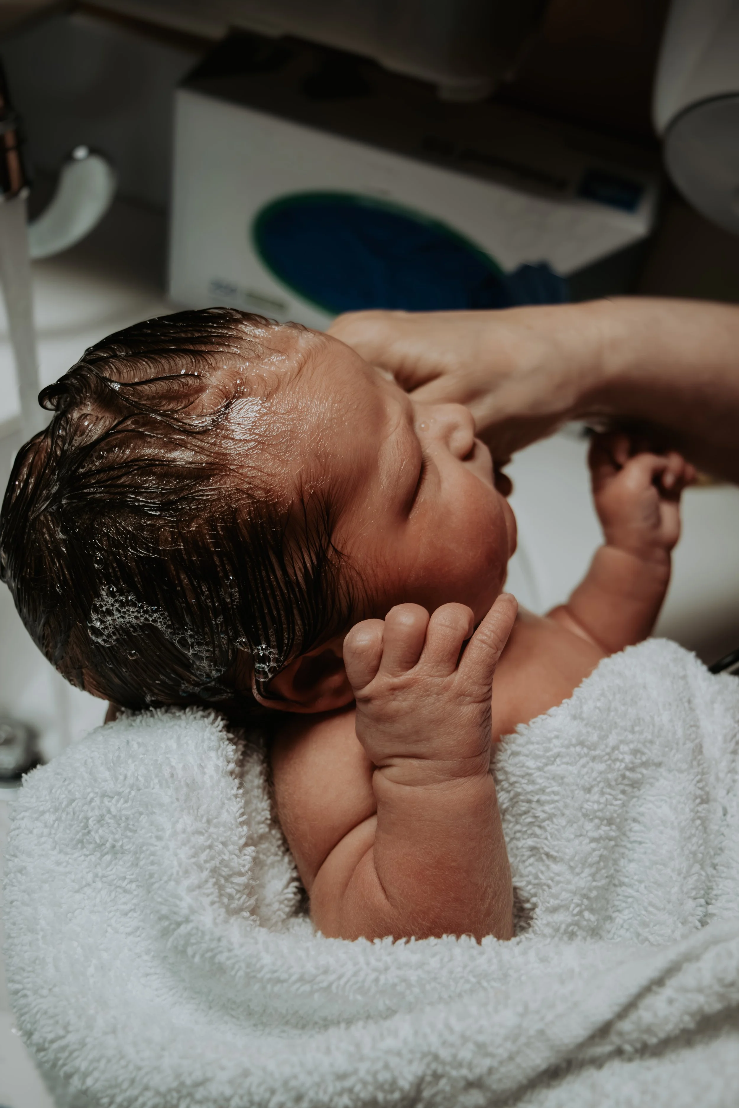 The Foster Family Newborn Session