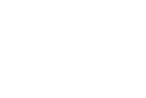 Airloom Drone Shows