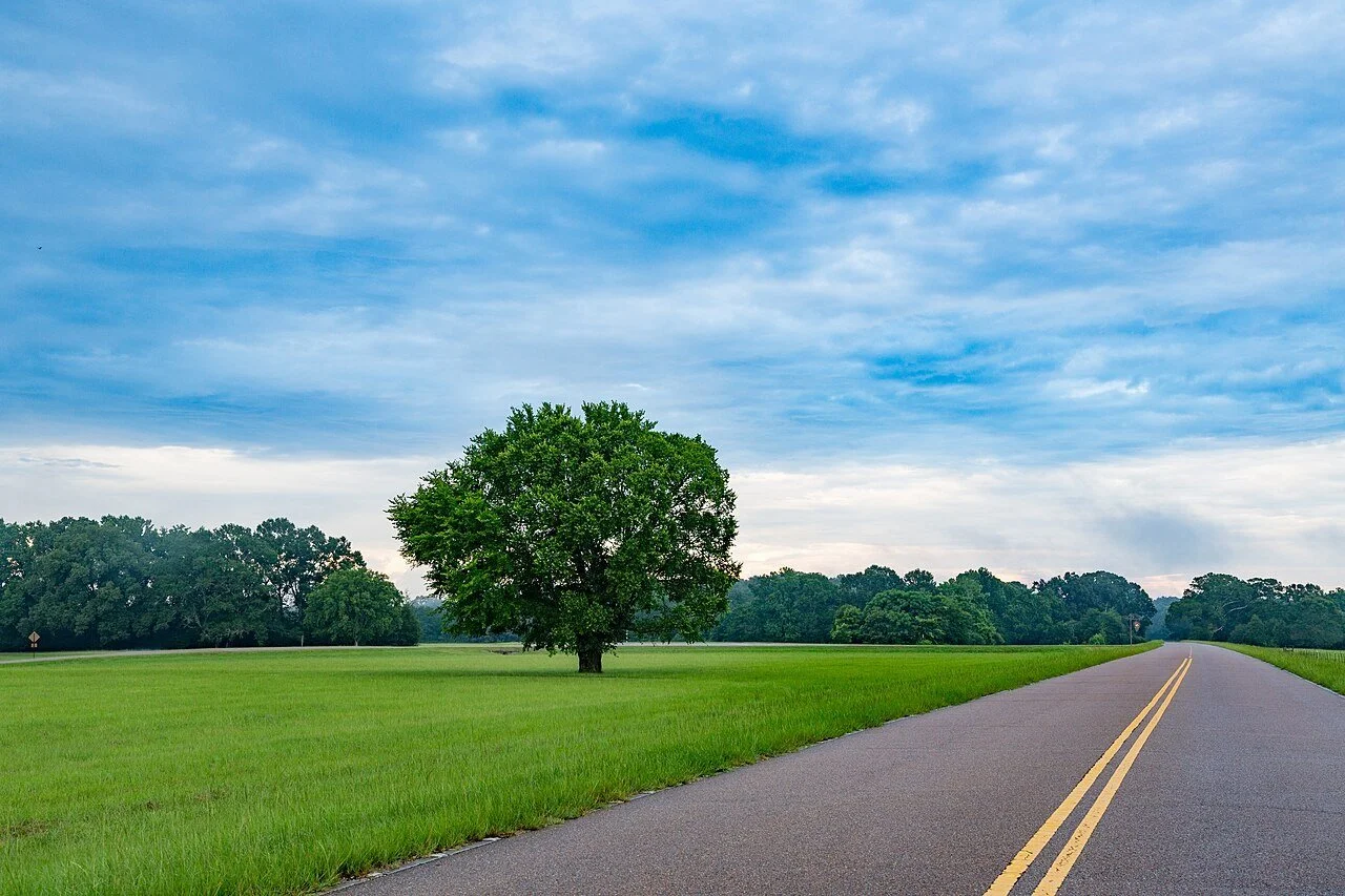 Natchez Trace Parkway in Mississippi