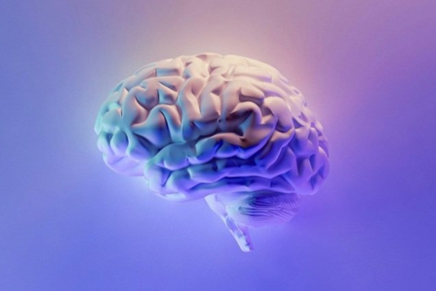 Inner Workings of the Signpost AI Chatbot: Non-tech Explainer