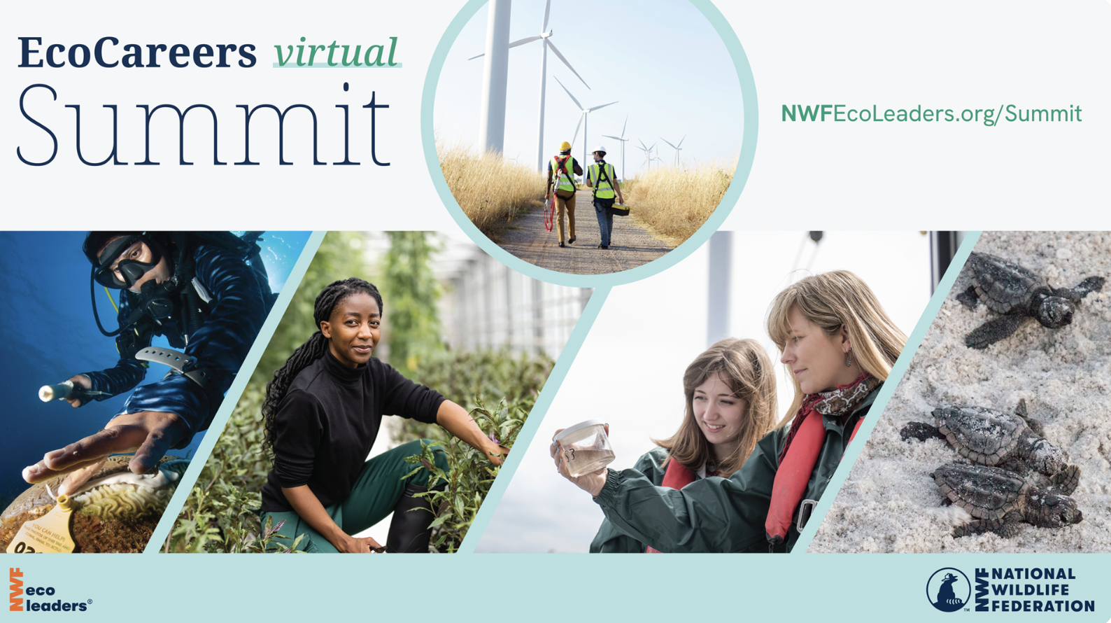 Online: EcoCareers Summit: Biodiversity Careers, hosted by National Wildlife Federation, Tuesday, September 16, 2025, 12pm - 6pm EST