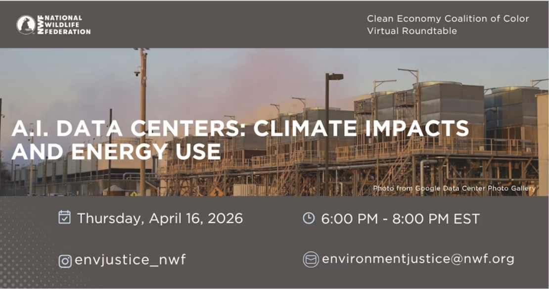 A.I. Data Centers: Climate Impacts and Energy Use, Thursday, April 16, 6:00pm-8:00pm EST, the Clean Economy Coalition of Color