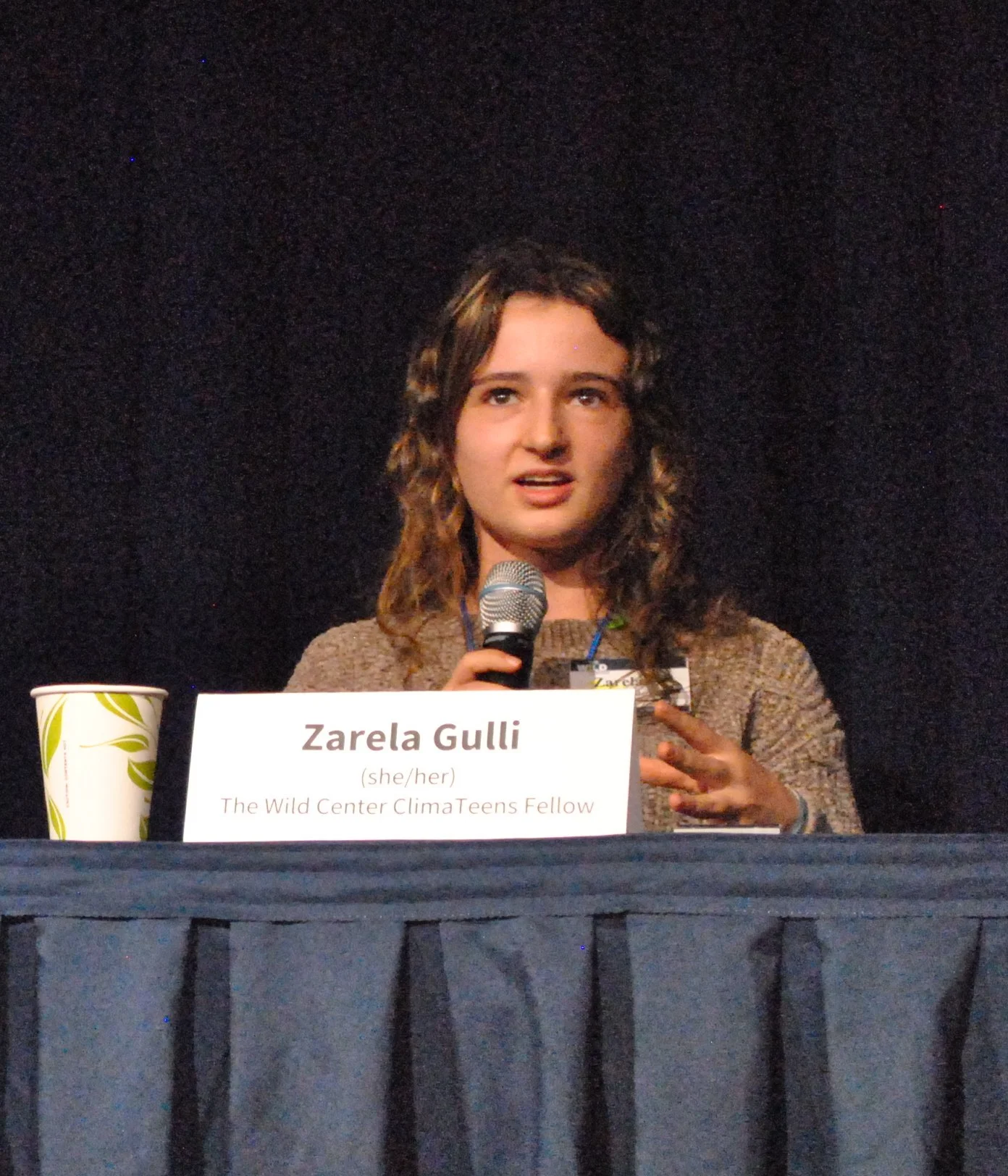 headshot - Zarela Gulli.JPG