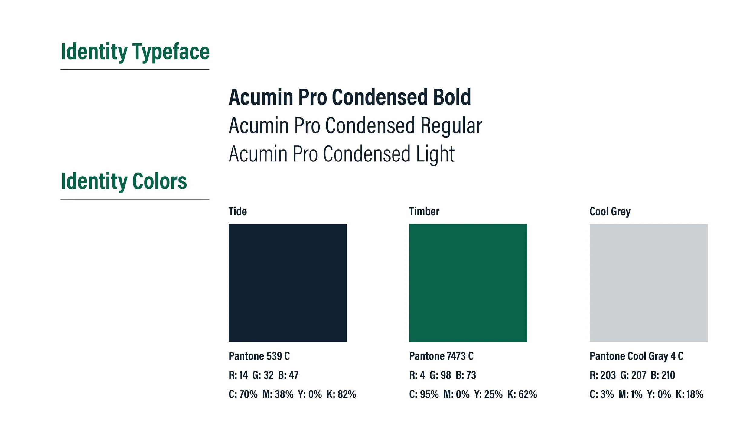 Timber & Tide brand guidelines7.jpg