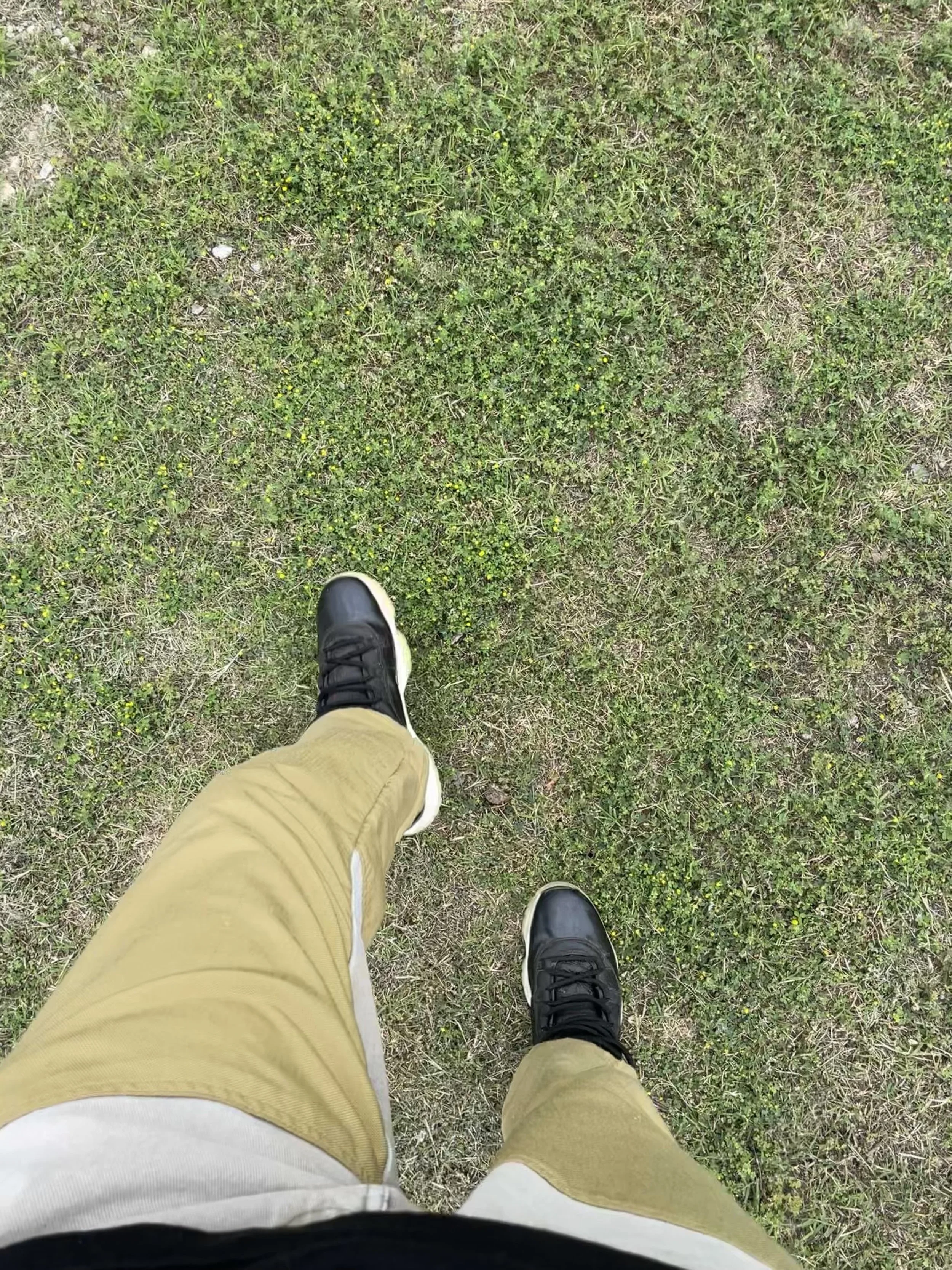 IMG_2105.jpeg