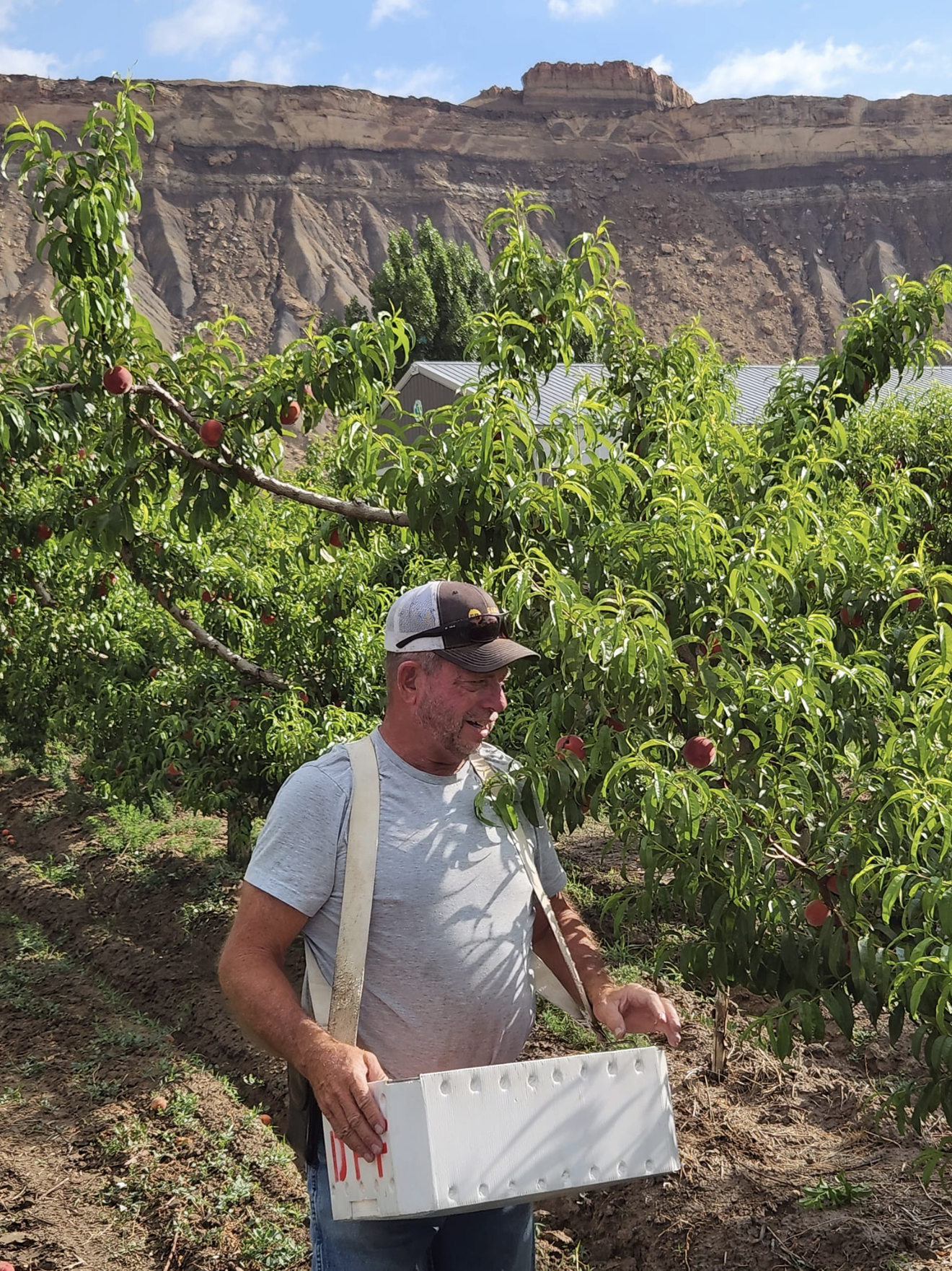 Screenshot 2026-01-08 at 9.39.34 AM.png