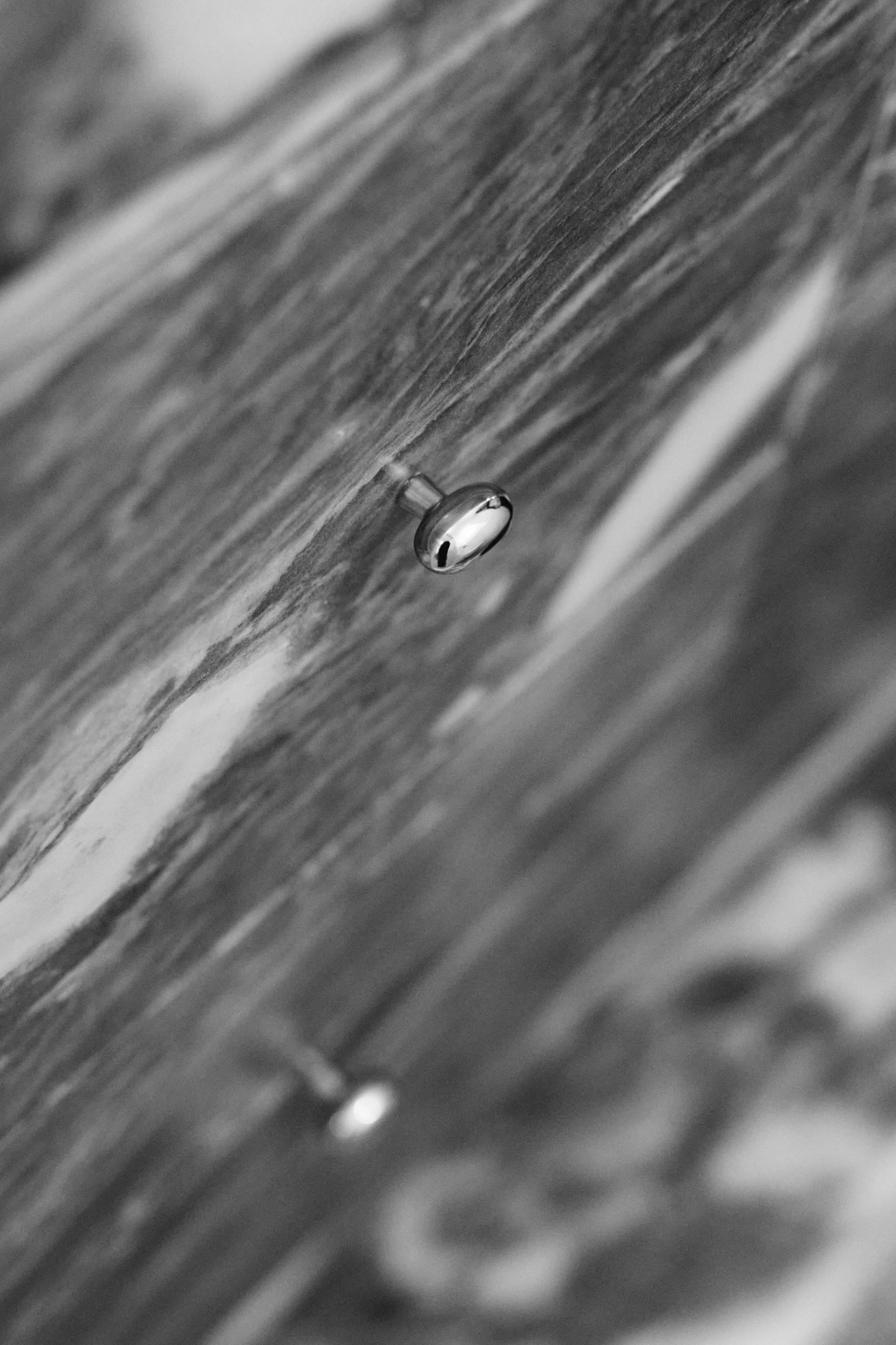 SPACES WITHIN - PICO BLUNT POLISHED NICKEL.jpg