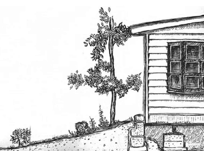 Black and white sketch of a house with a window, a small garden with plants, a dirt path, and a tree with foliage.