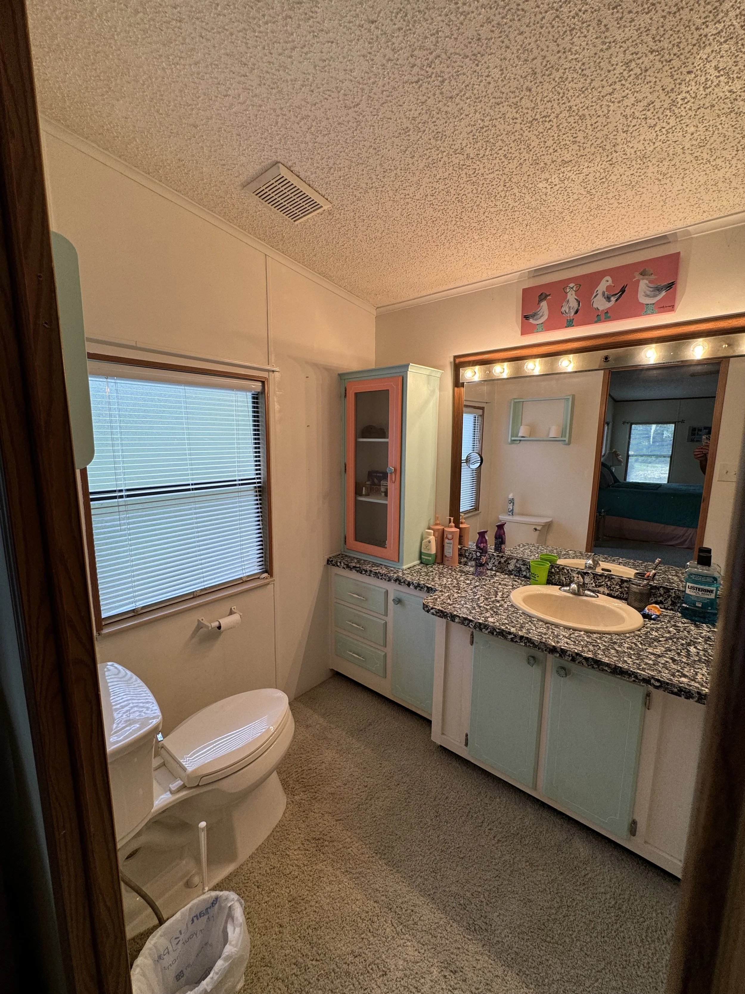 Bathroom with a toilet, a granite countertop with a sink, a mirror with lights, a small cabinet, a window with blinds, some toiletries on the counter, and a colorful overall decor.
