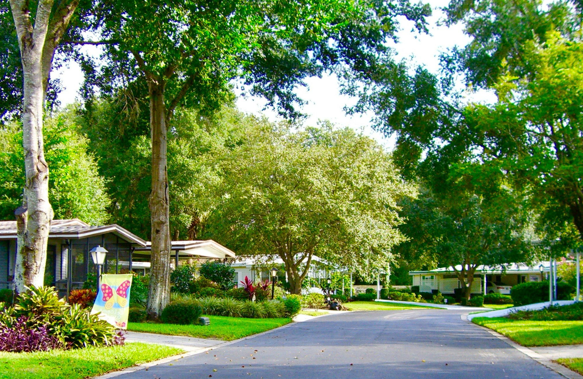 A quiet suburban street lined with large trees and single-story houses with well-maintained lawns and gardens.