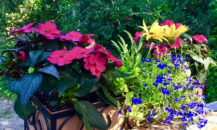 A flower arrangement with pink, yellow, and blue flowers in a decorative container.
