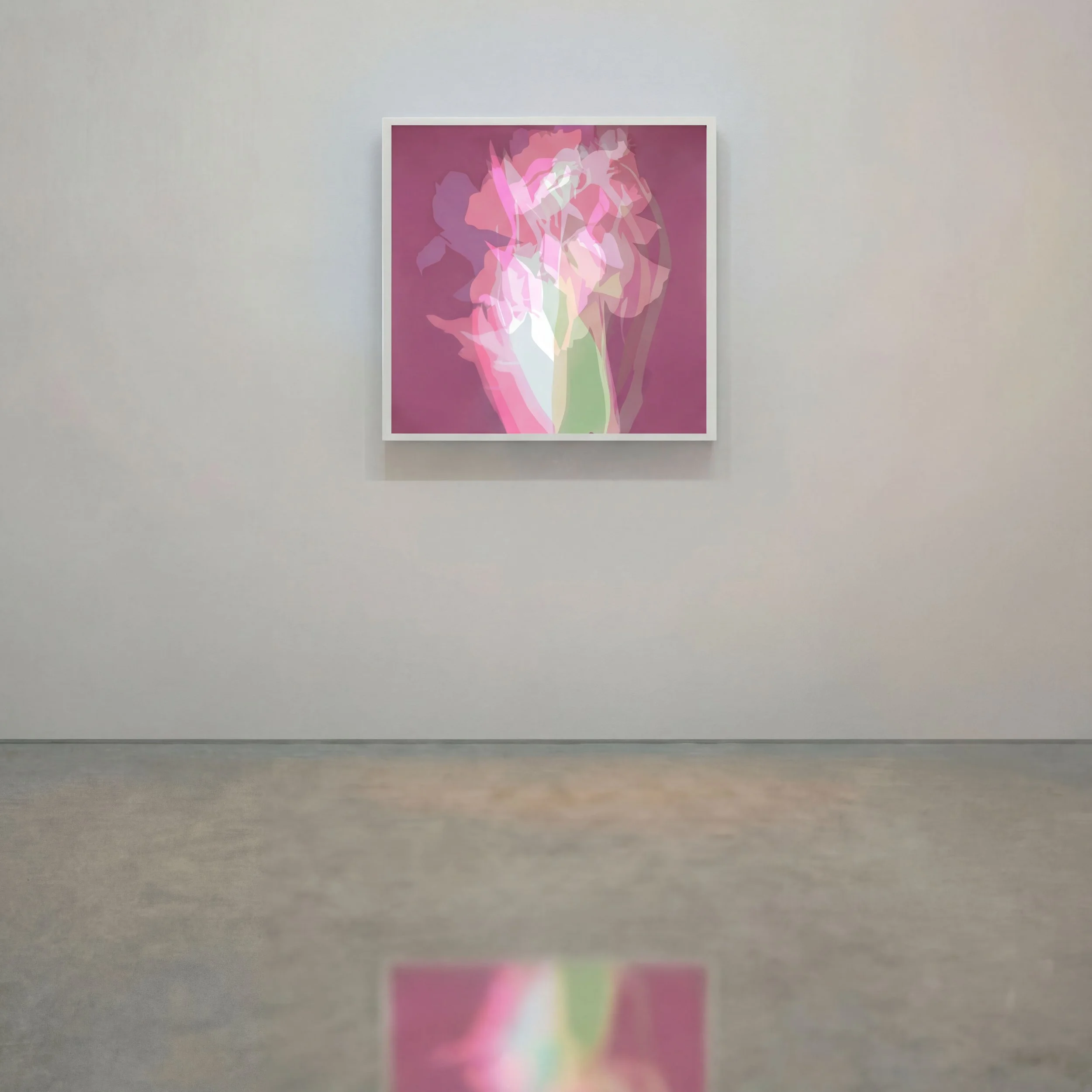 OPTICA LBNP James Thomas.jpg