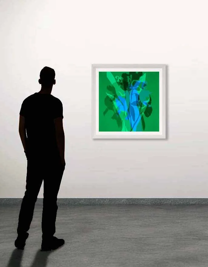 PENUMBRA IN GALLERY.jpg