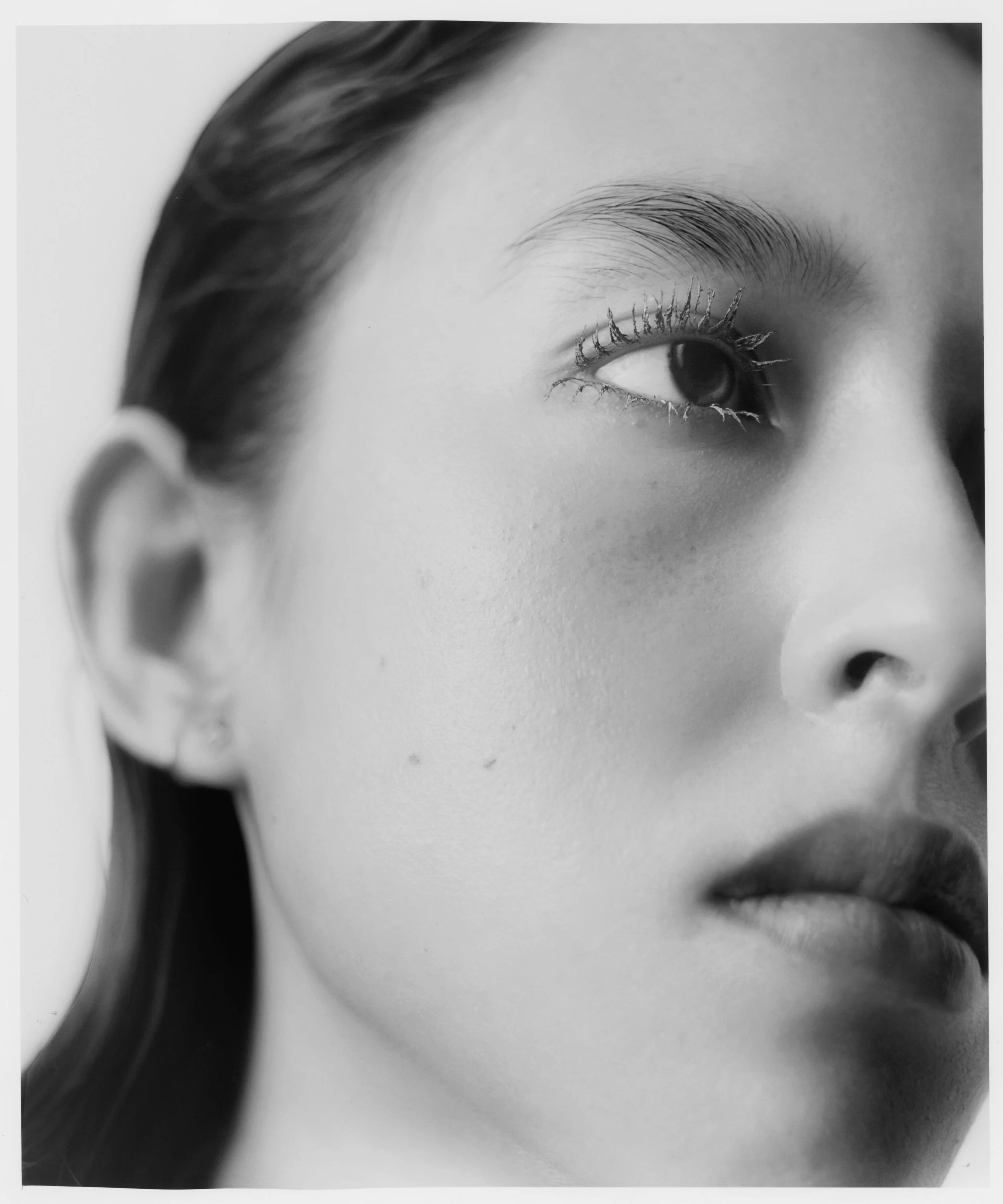5-sophia-wickens-main-book.jpg