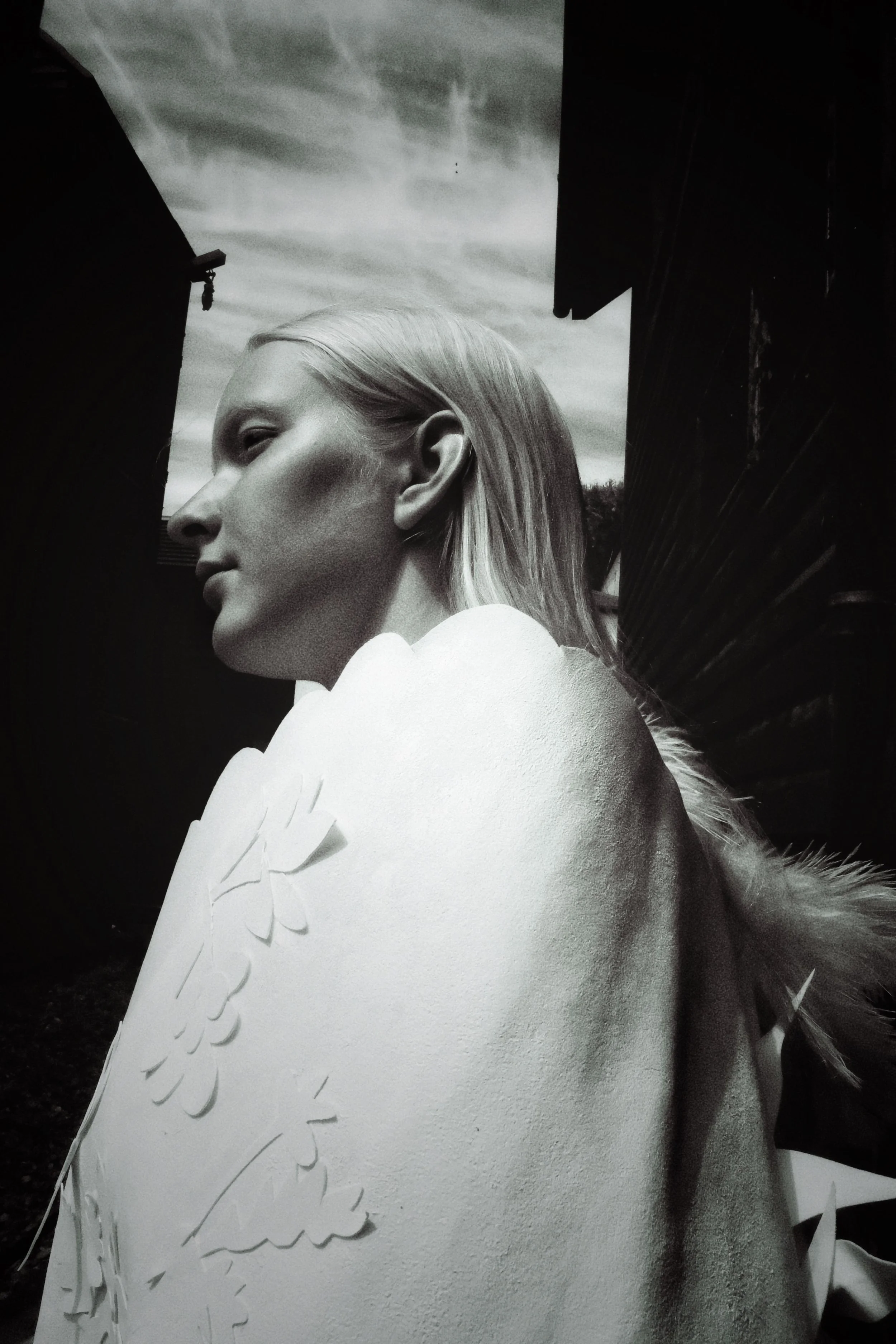 5-tamar-lindner-book.jpg