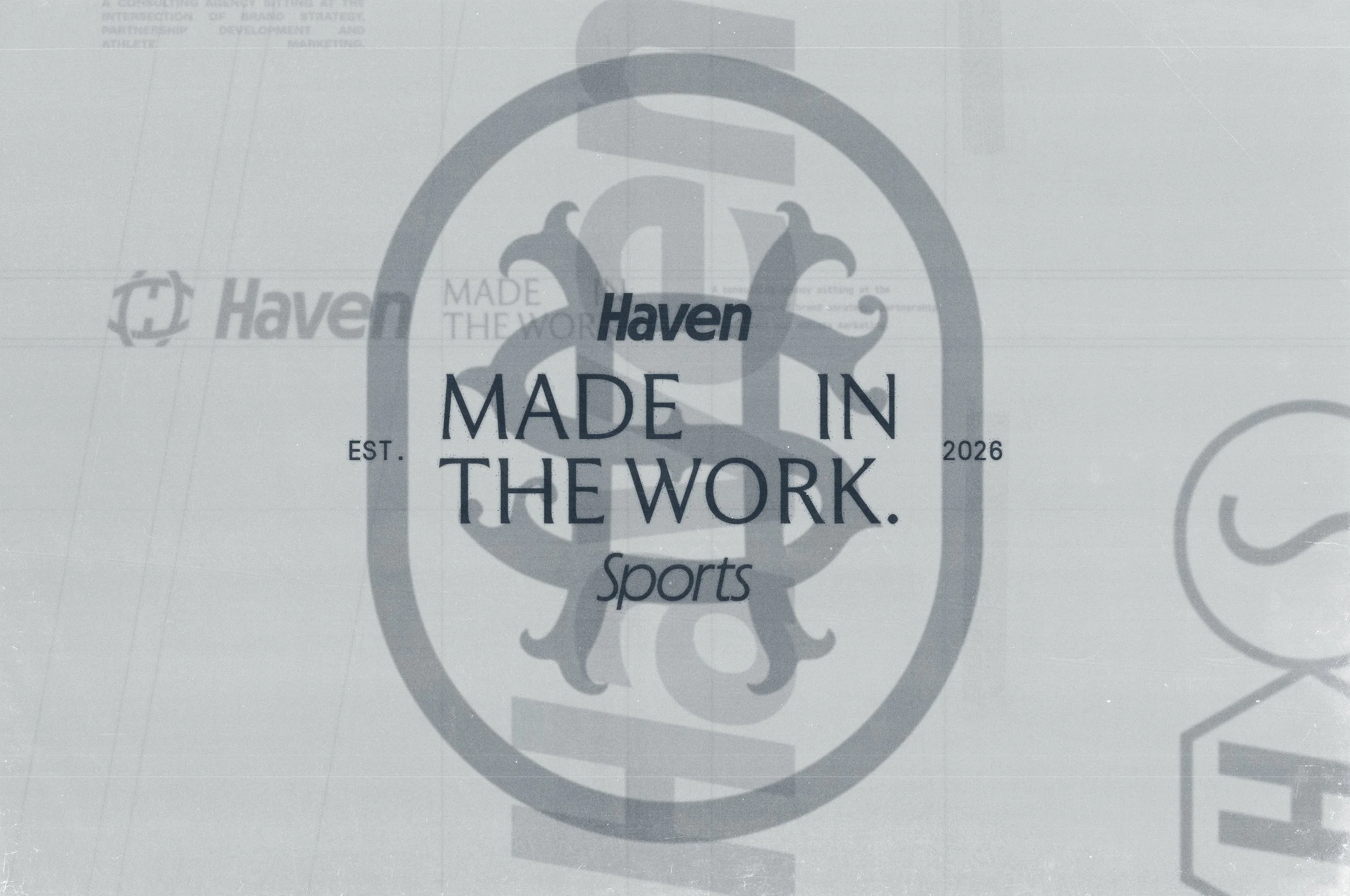 Haven_Sports_Slide4 copy.jpg