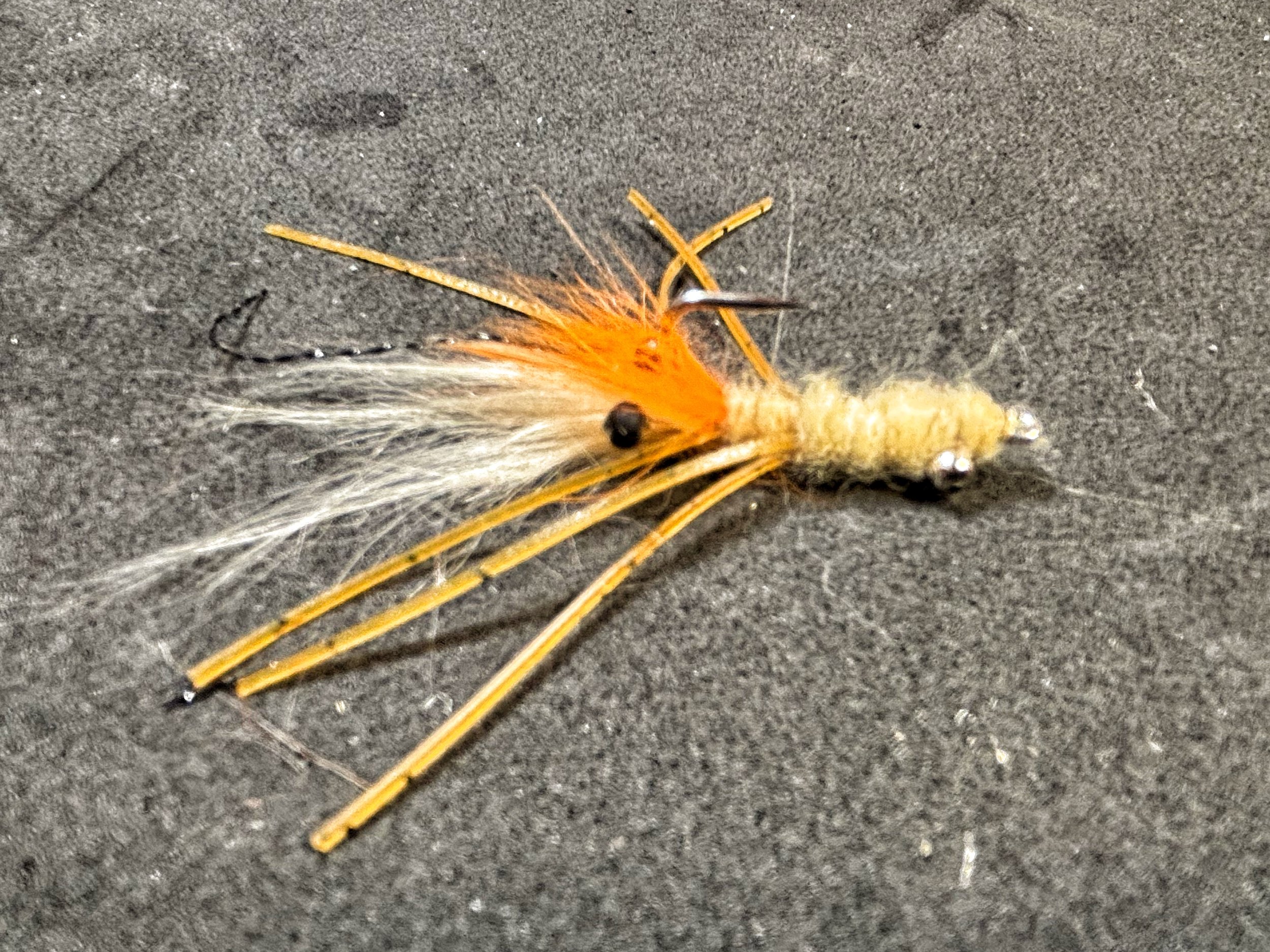 Merkin Shrimp.jpeg