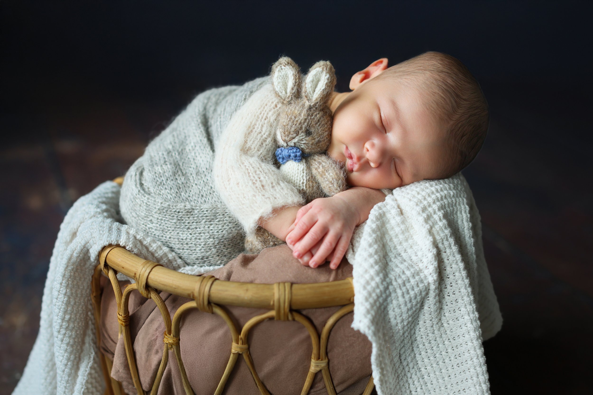 Naperville Wheaton Glen Ellyn Newborn Photographer