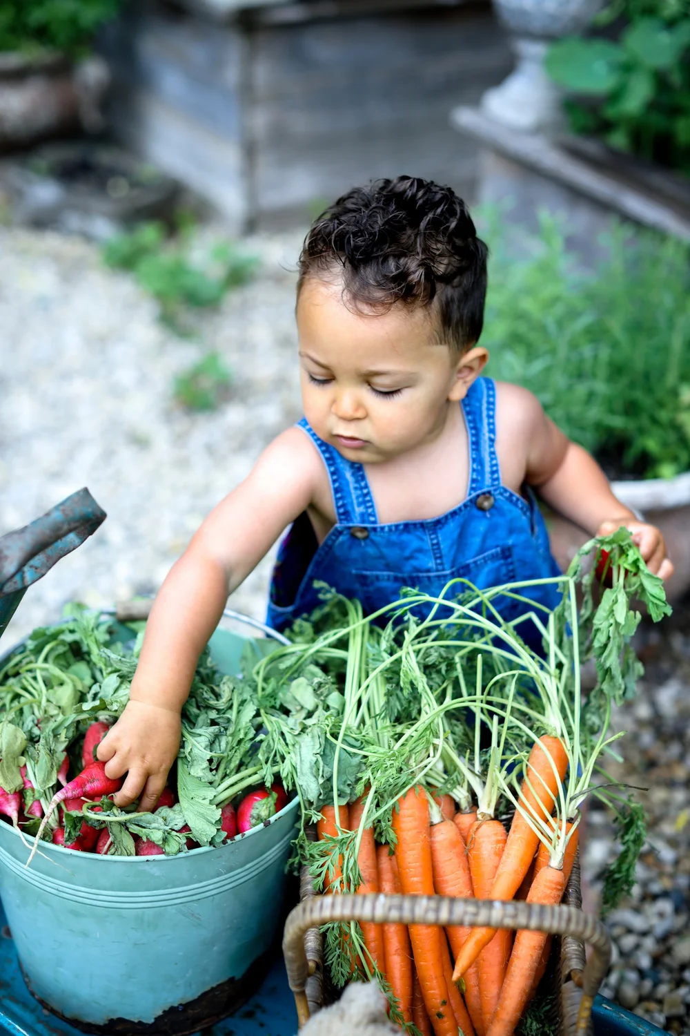 Alicia's Photography Summer  Mini Sessions Vintage Vegetable Garden Sessions