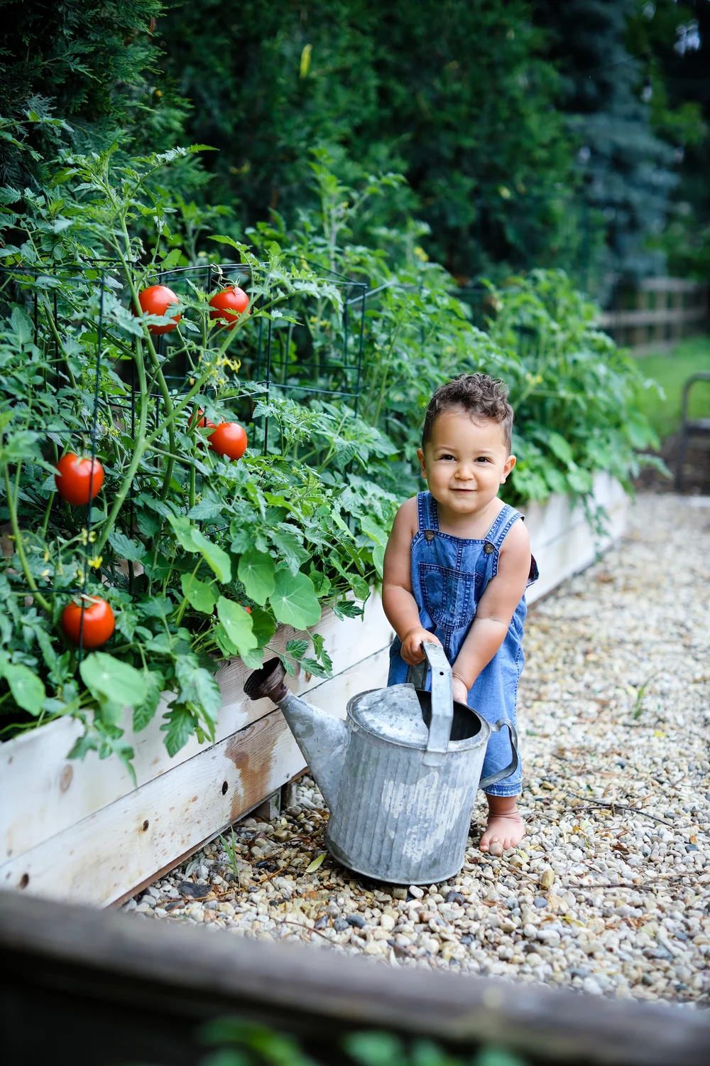 Alicia's Photography Summer  Mini Sessions Vintage Vegetable Garden Sessions