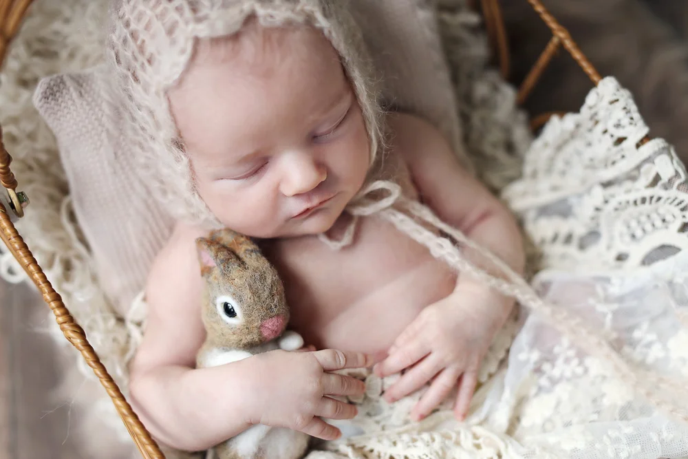 St. Charles  Illinois Newborn Photographer