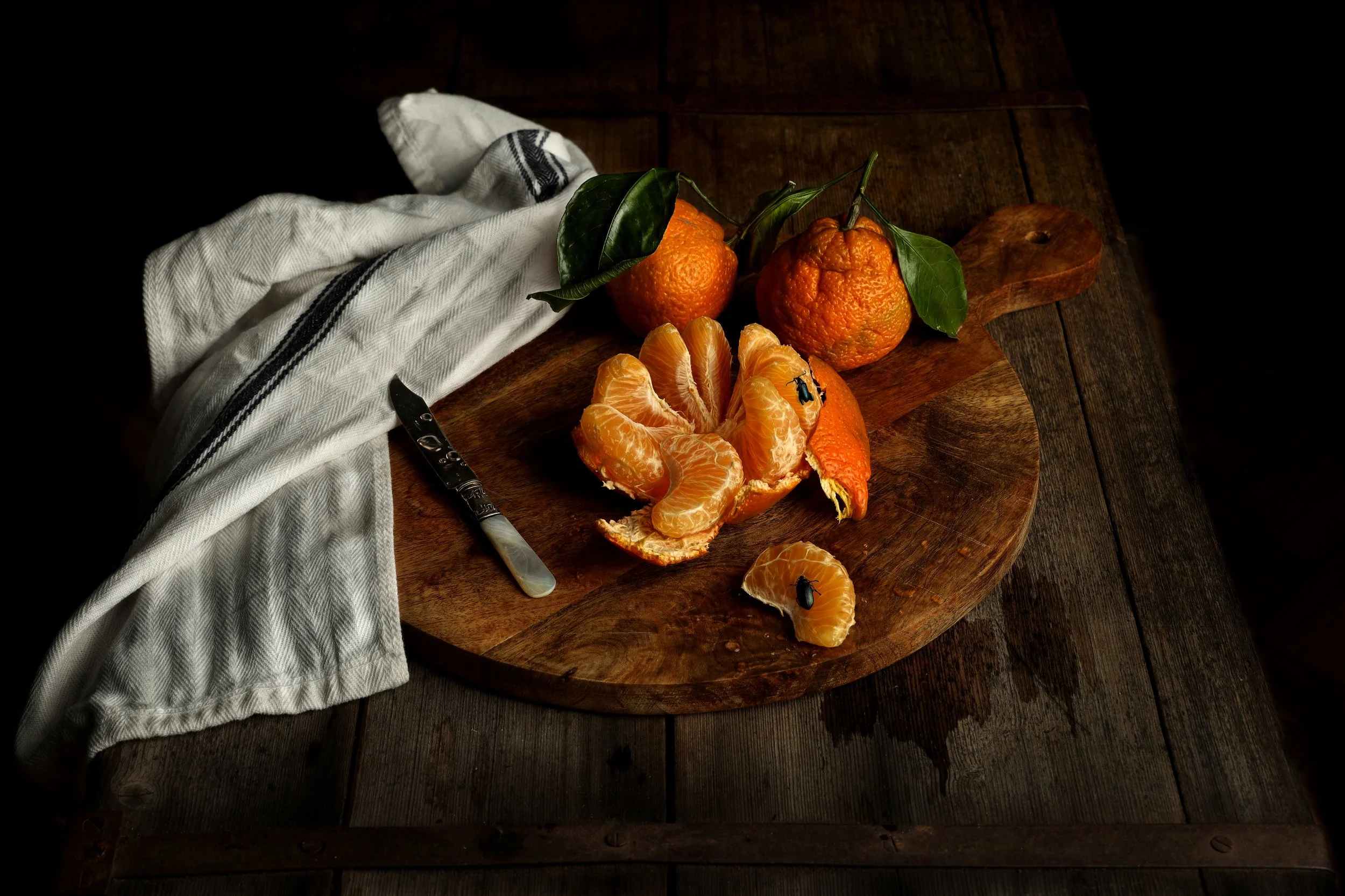 It Was Just a Bowl on the Table…