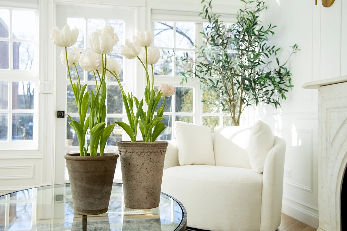 Two potted white tulips on a glass table in a bright, white room with large windows and a white sofa.