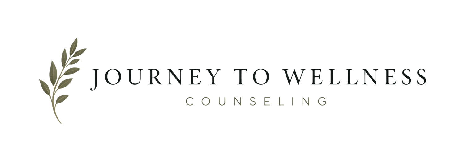 Journey to Wellness Counseling                           