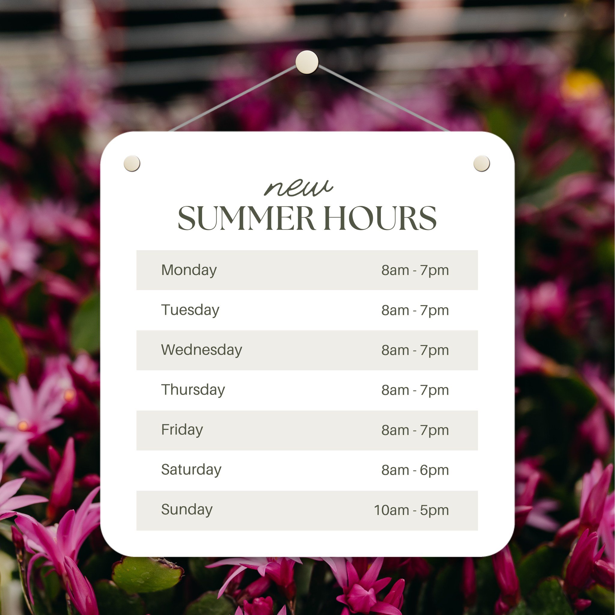 Hope you had a wonderful weekend!! Early Summer Hours begin tomorrow! 🤩

Open longer hours for your spring gardening needs!

#downtoearth #gardencenter #eauclaire