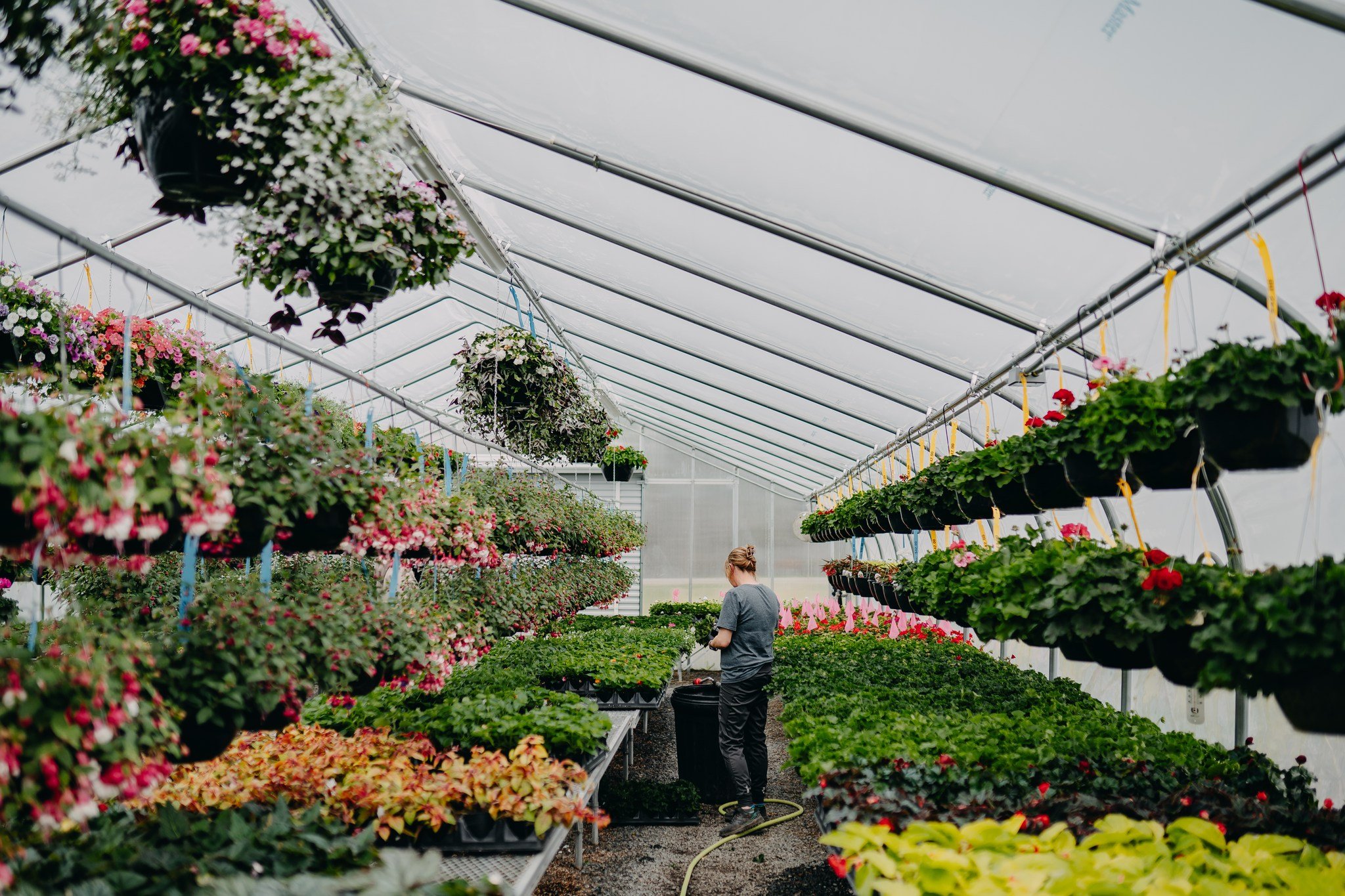 With greenhouses full of beauty, we are excited to share what we have grown! 🌼🌻🌷

Whether you live closer to our Cadott campus or just want to explore our growing farm, we invite you to stop on out! 

Cadott Growing Farm Hours:
Sun-Tues: CLOSED
We