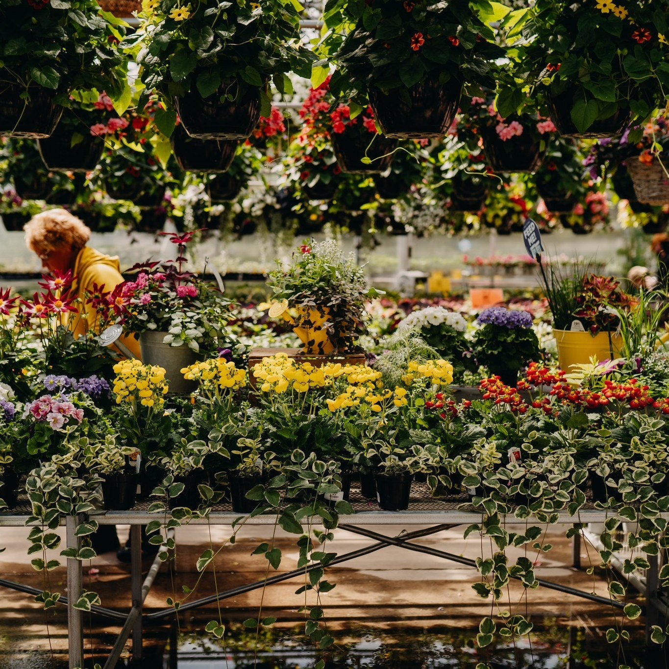 Our Garden Center Blossoms Just in Time for Mother's Day! 🌷 Treat Mom to the Gift of Nature's Beauty with our vibrant array of flowers and plants!

#mothersday #blooming #downtoearth #gardencenter #greenhouse #eauclaire