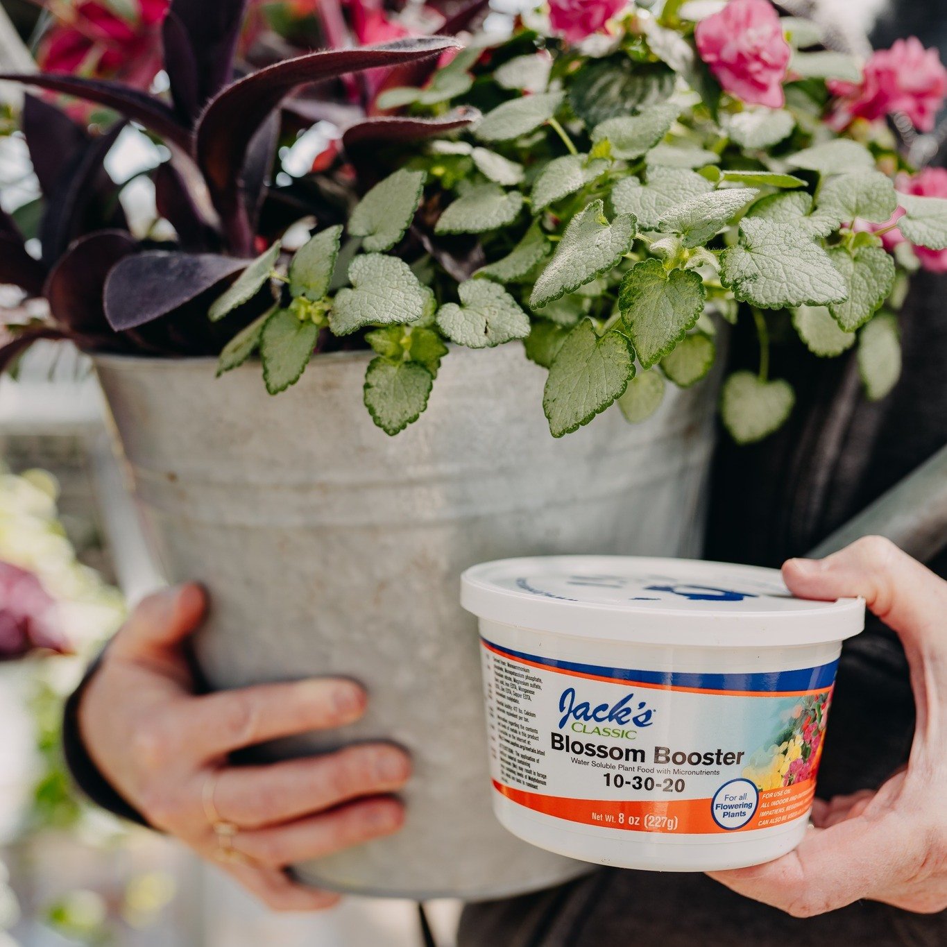 Transform your garden into a vibrant paradise with Blossom Booster 10-30-20! 

🌸🌿 It's the secret to more blooms and brighter colors. Feed your plants from root to leaf for unmatched quality and results!

#jacksblossomblaster #plantcare #downtoeart