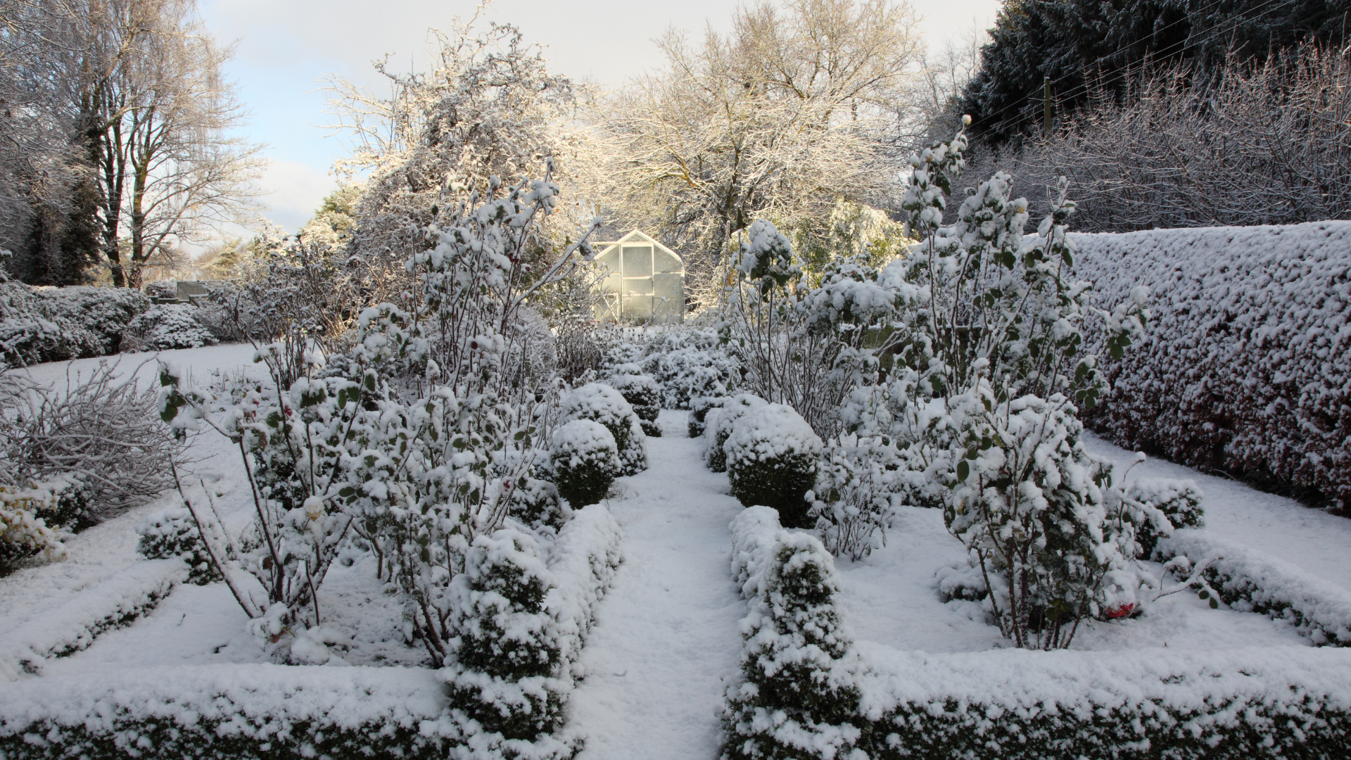 Putting Your Garden to Bed for the Winter
