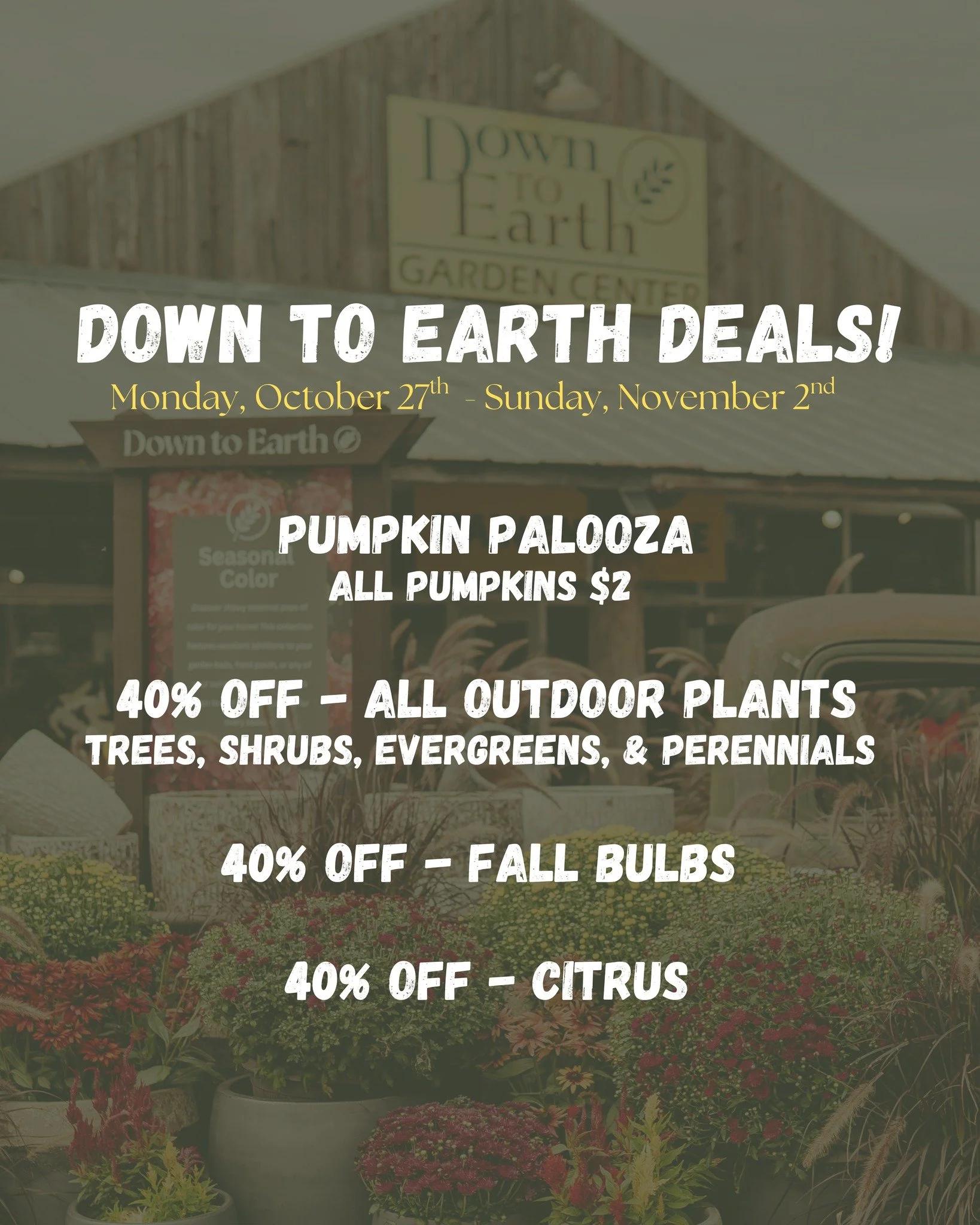 ๐๐This Week at Down to Earth: Fall Deals You Don’t Want to Miss!
October 27 – November 2
It’s your last chance to stock up for the season at incredible prices:
โจPumpkin Palooza: All pumpkins just $2!
๐ณ40% OFF all outdoor plants