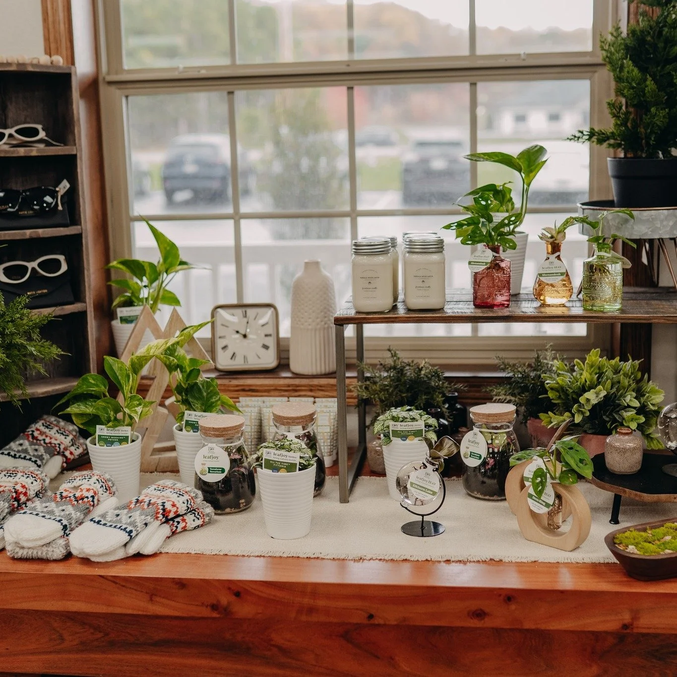 cute, little plants - now available at the Boutique๐๐ฟโบ
elevate your gift giving this holiday season๐
#plants #boutique #mustardseedboutique #eauclaire #plantlovers