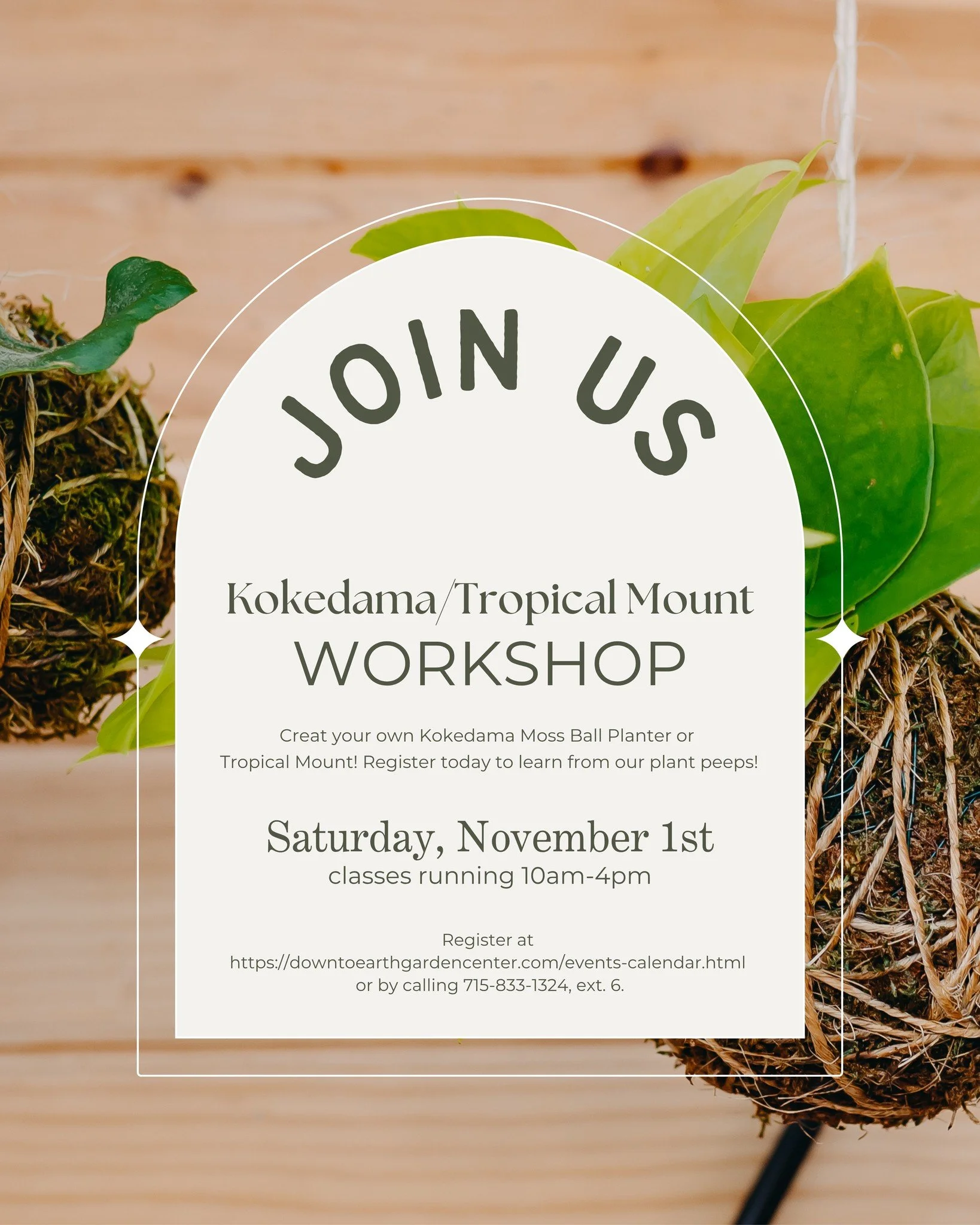 ๐ฟCreate Your Own Living Art!
Schedule a workshop with our greenhouse pros and learn how to make a Kokedama moss ball planter—or take it further and turn it into a stunning Tropical Mount!
Choose your own plant, use our special soil and sheet