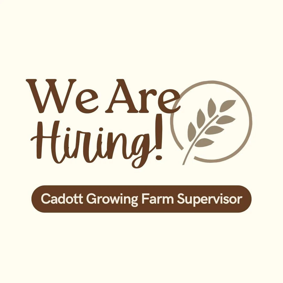 We’re growing — and so can you! ๐ฑ
Our Cadott Growing Farm is looking for a motivated, detail-oriented leader to join our team full-time.