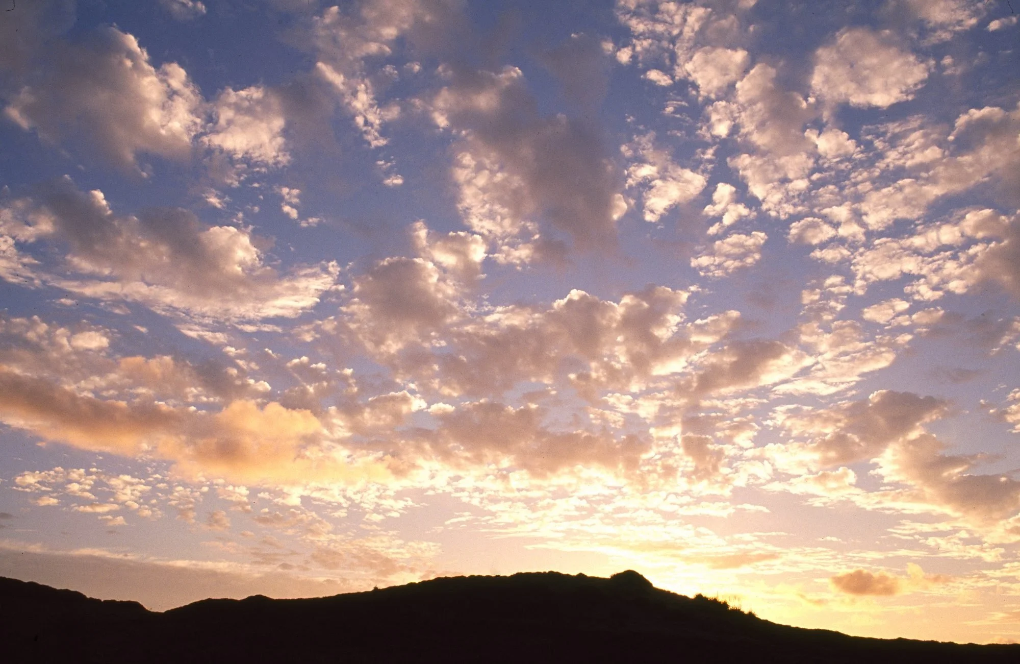 On Being Present: The In-Between is Where Life Happens