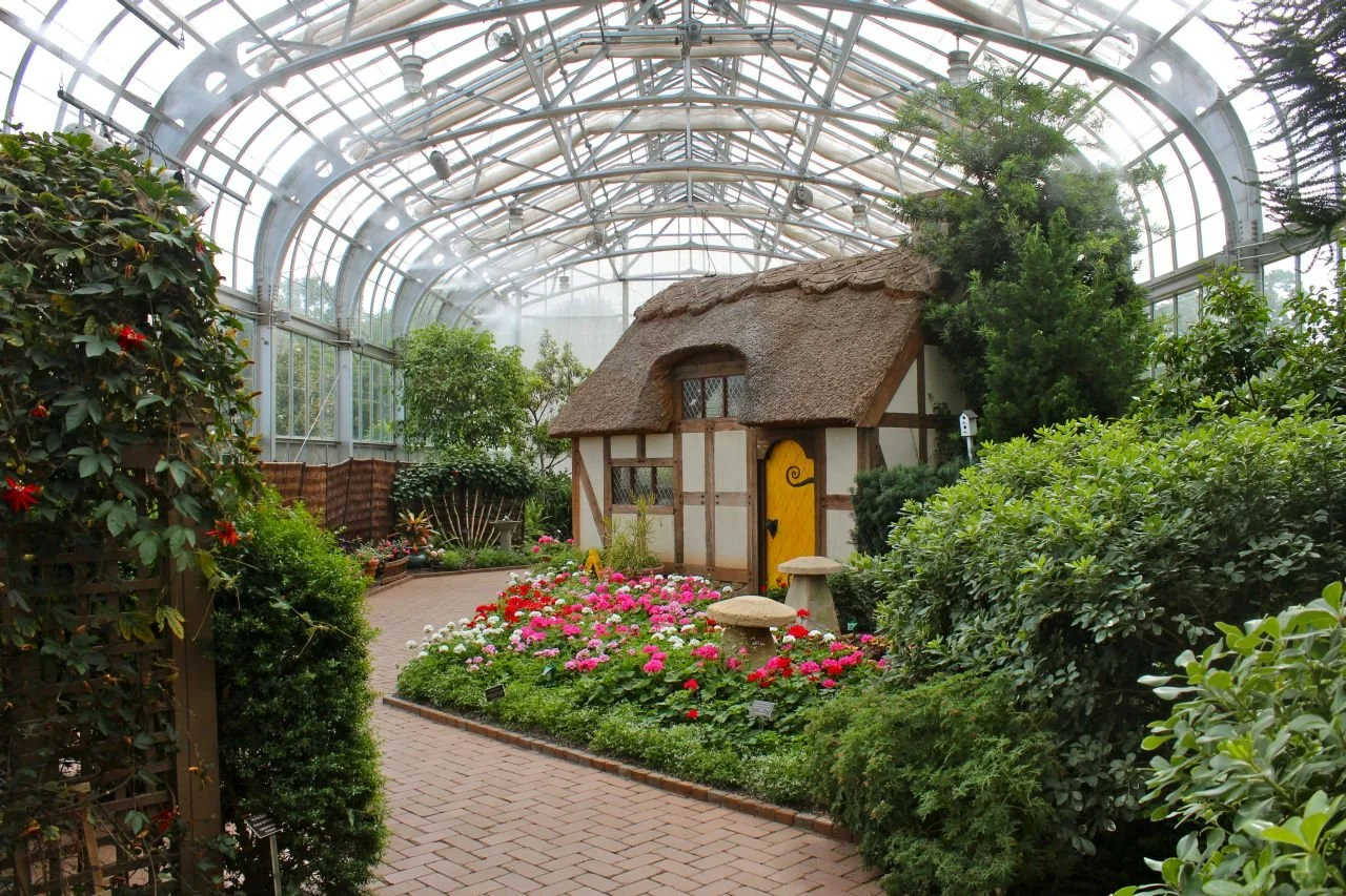 lewisginter2.jpeg
