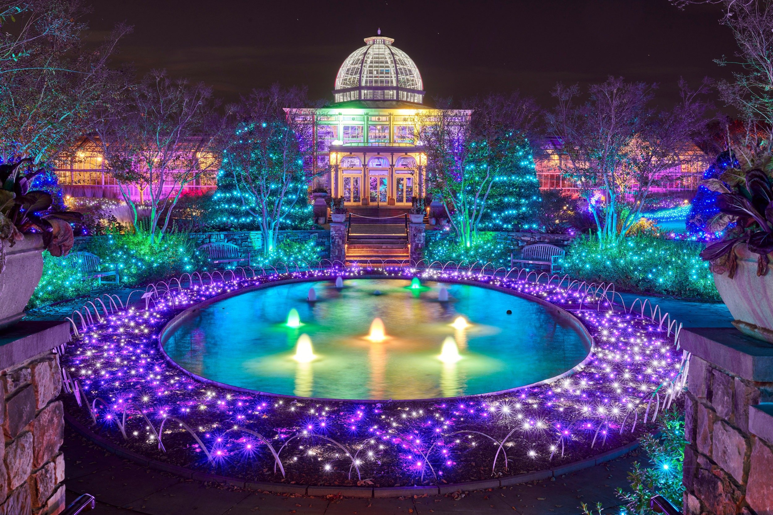 lewisginter3.jpeg