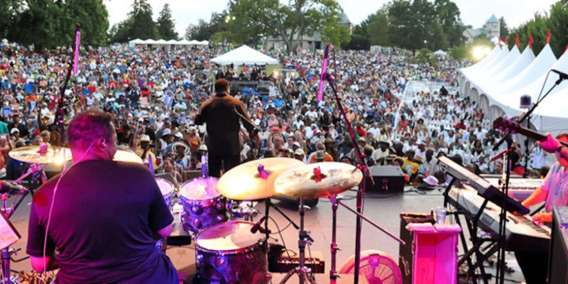 Looking for something to do this summer?