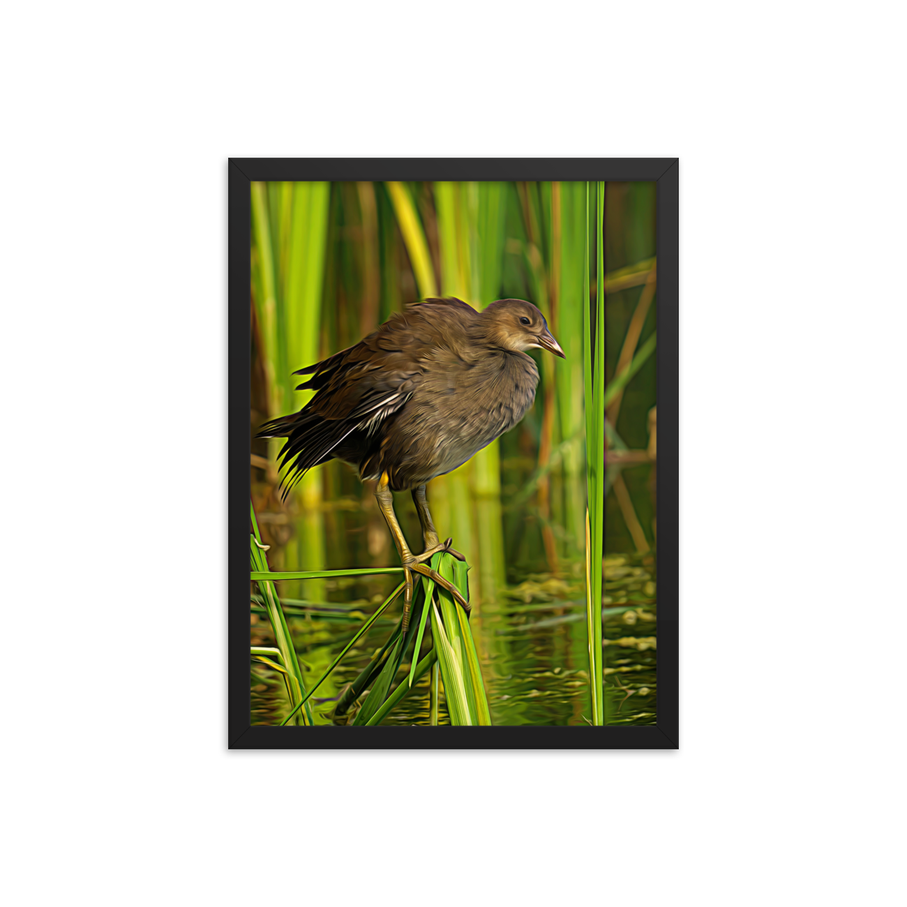 enhanced-matte-paper-framed-poster-(in)-black-18x24-transparent-65b2f36064ecf.png