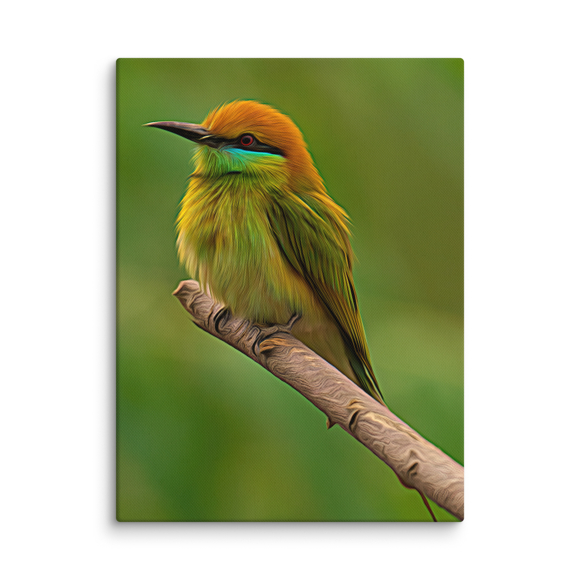 canvas-(in)-12x16-wall-667b202bf0c4c.png