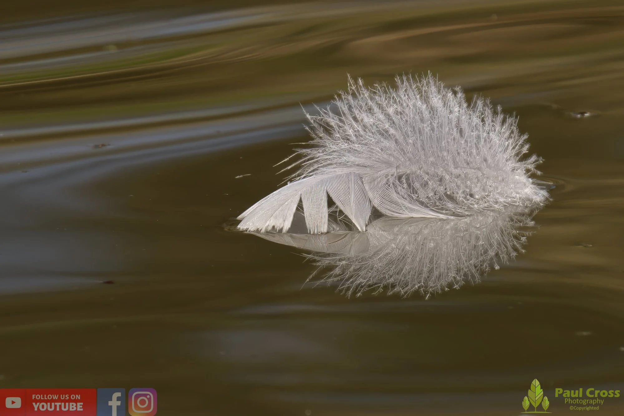 Water-00016.jpg