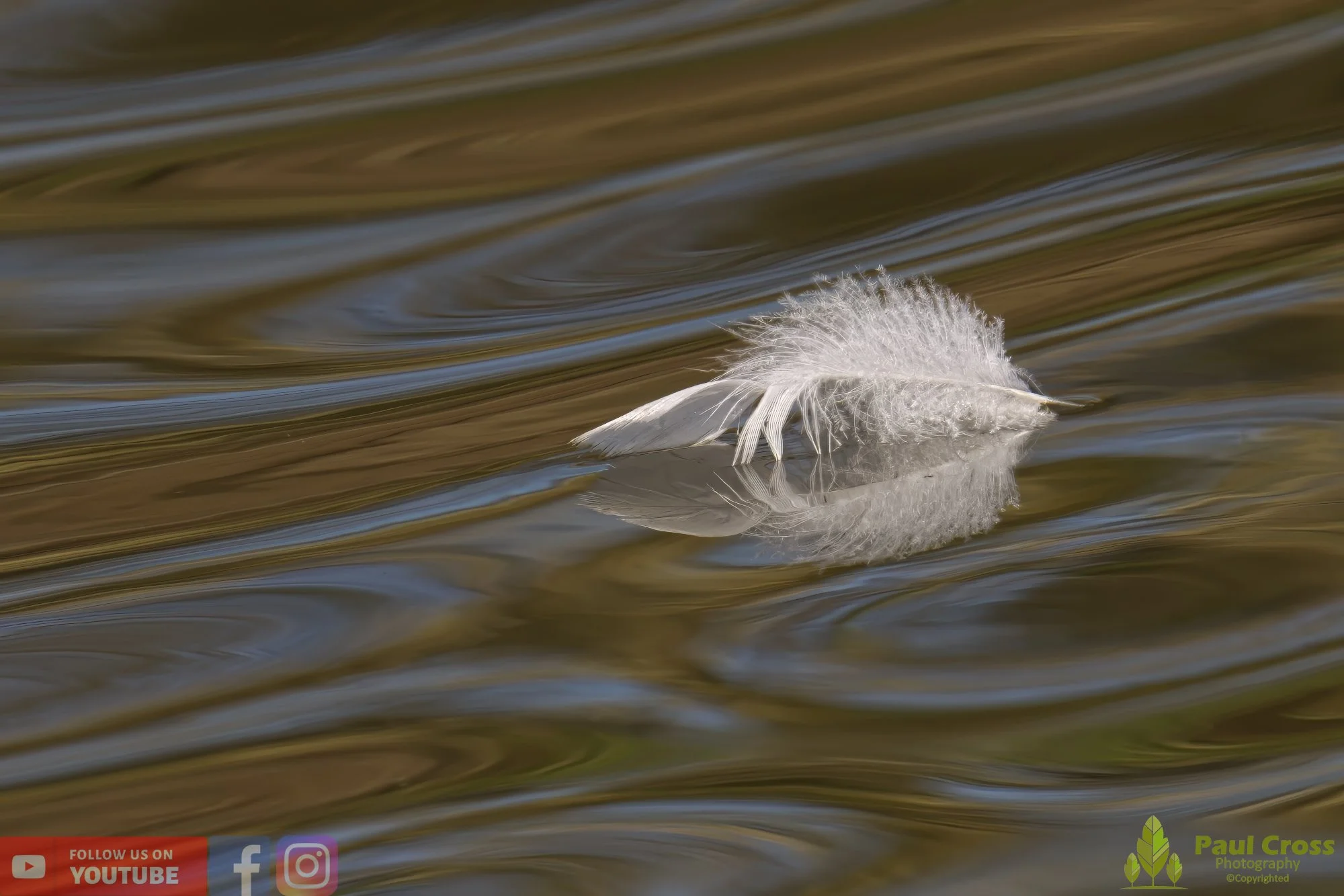Water-00014.jpg