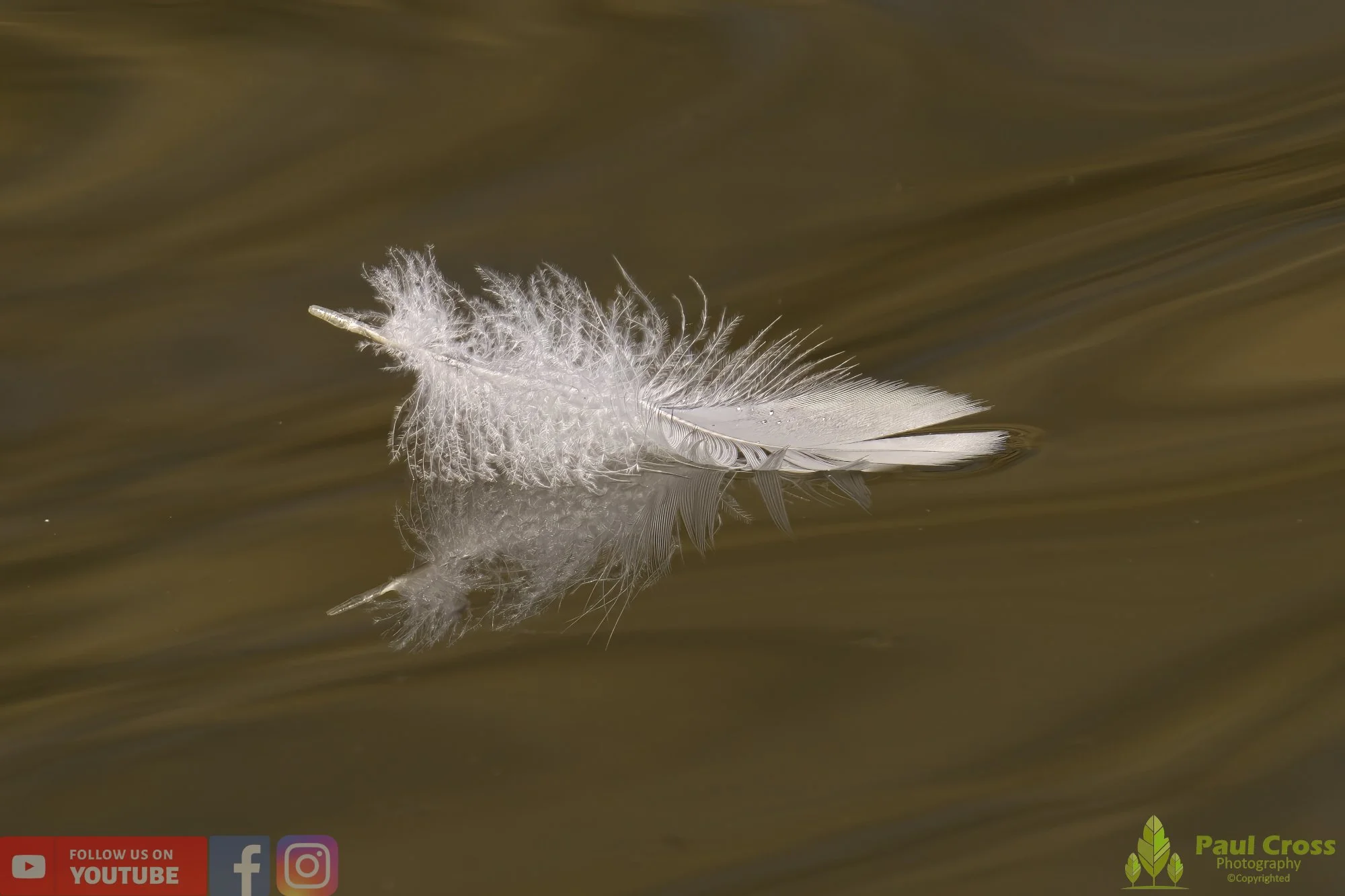 Water-00018.jpg