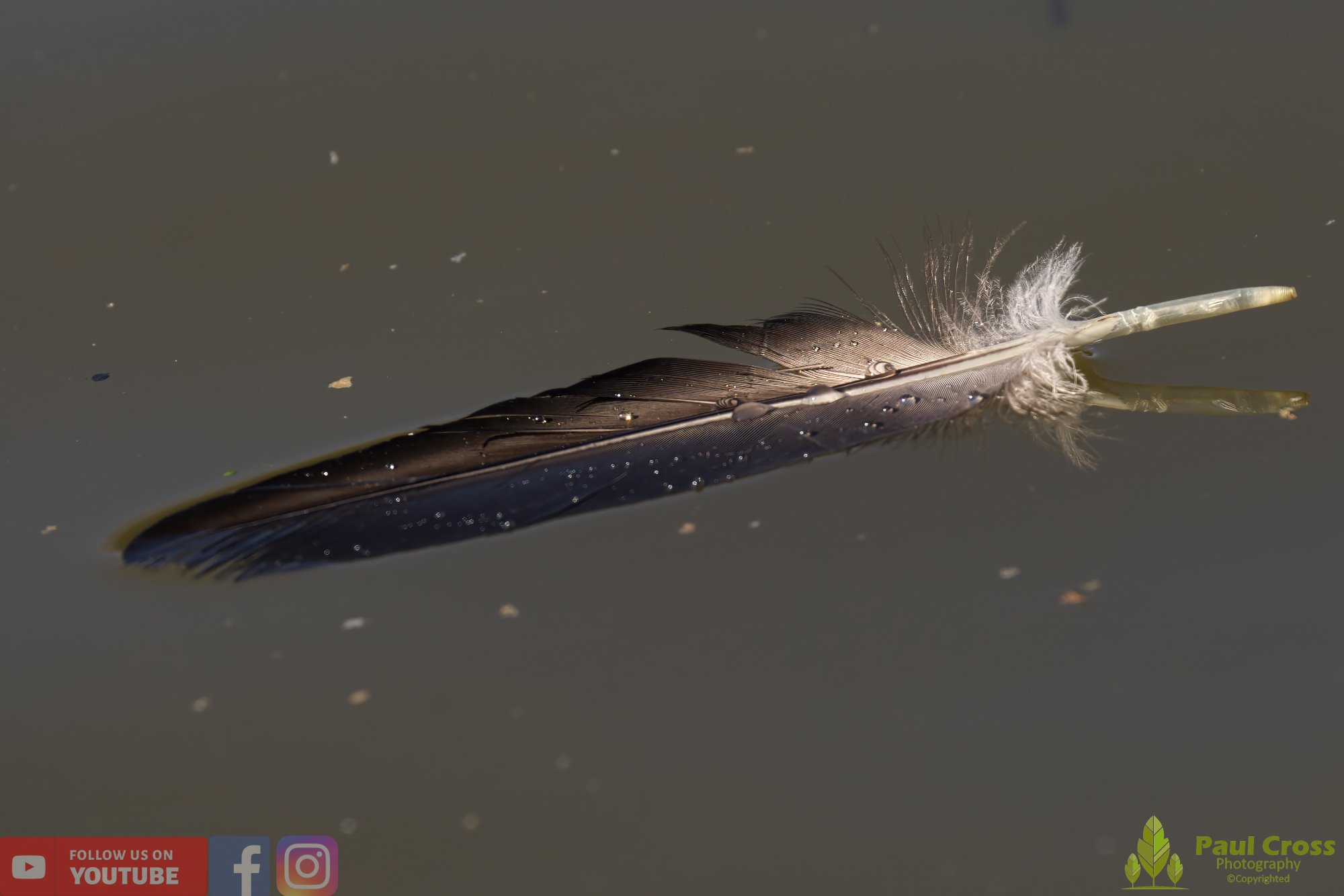 Water-00020.jpg