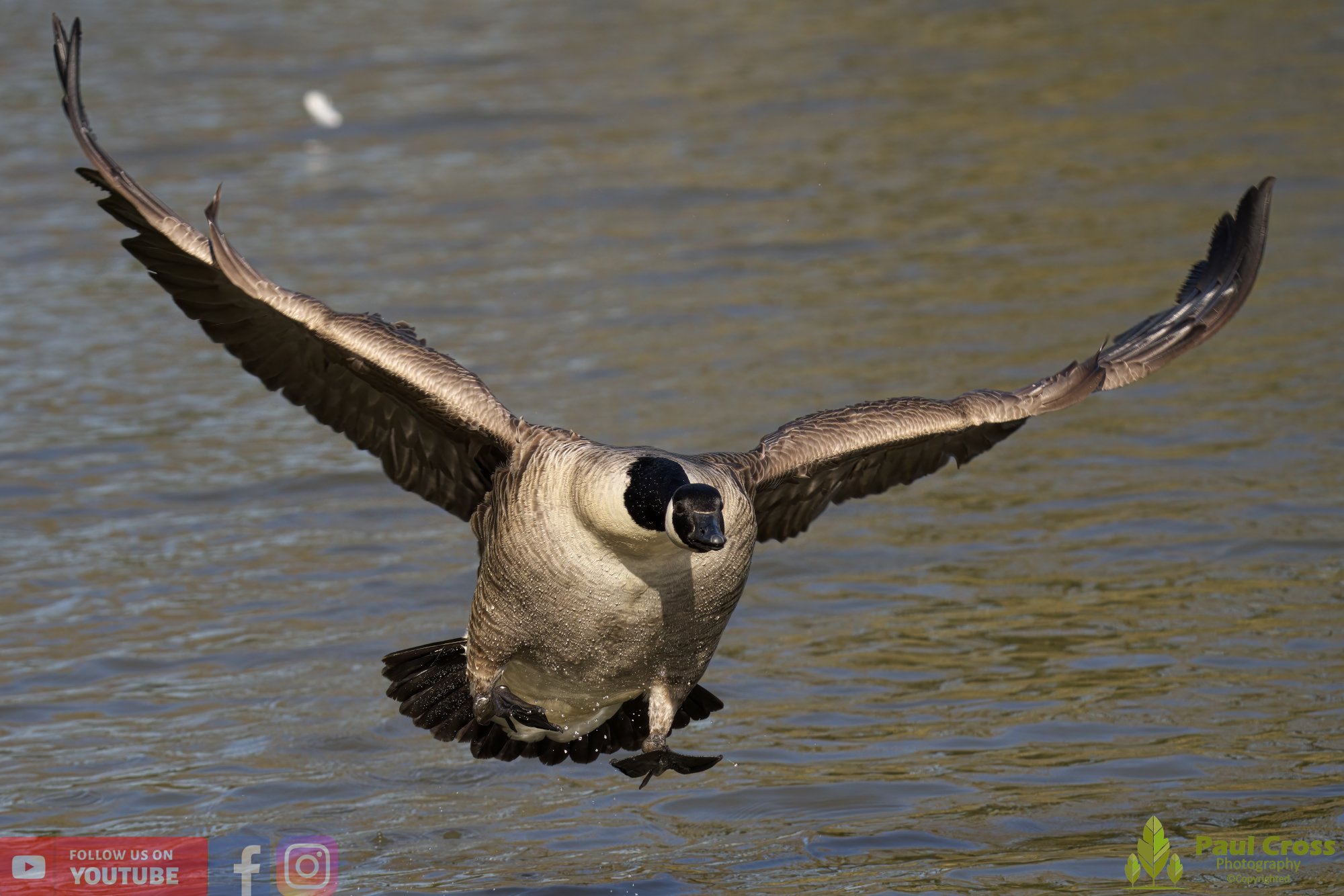Canada Goose-00107.jpg