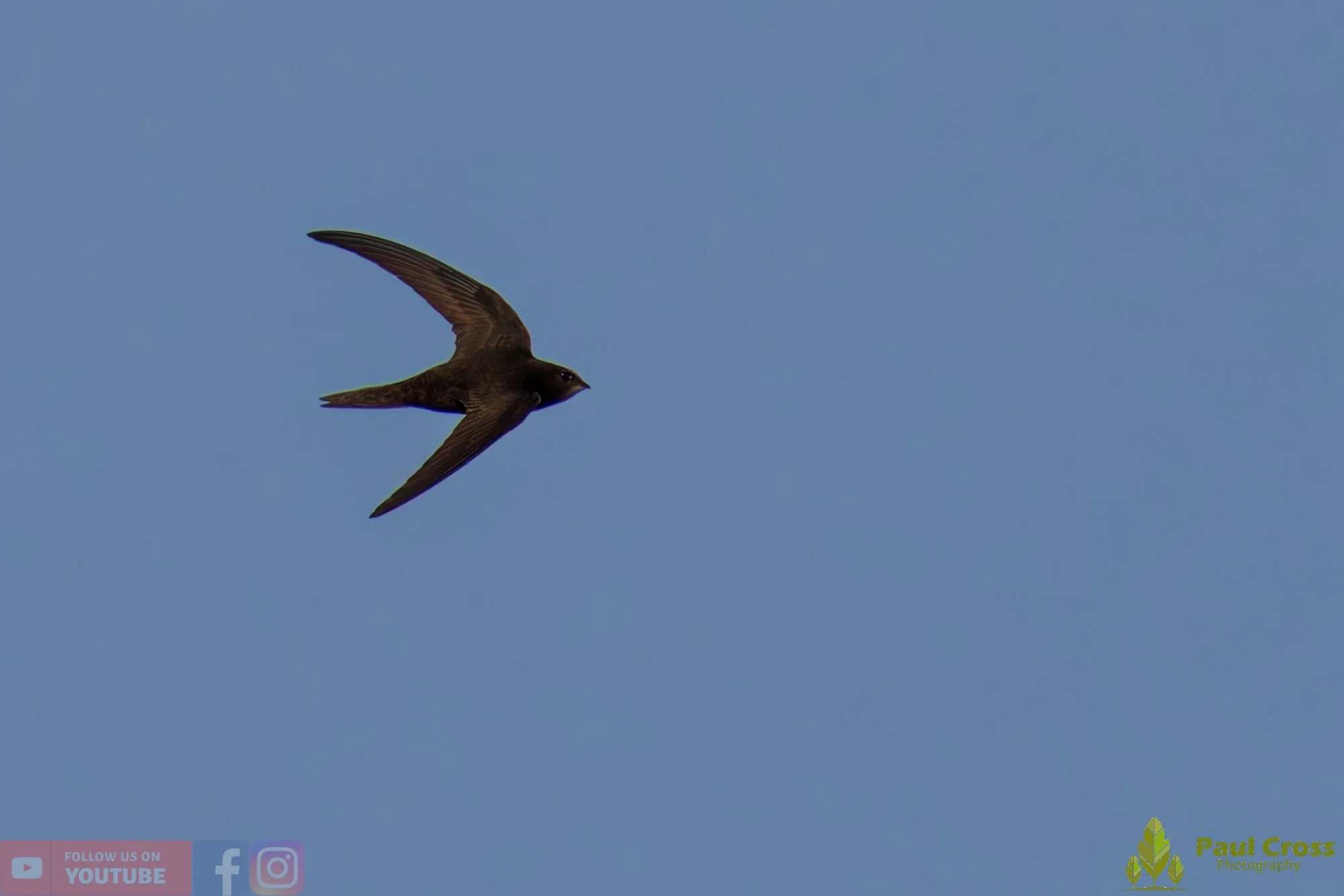 Swift-00055_logo.jpg
